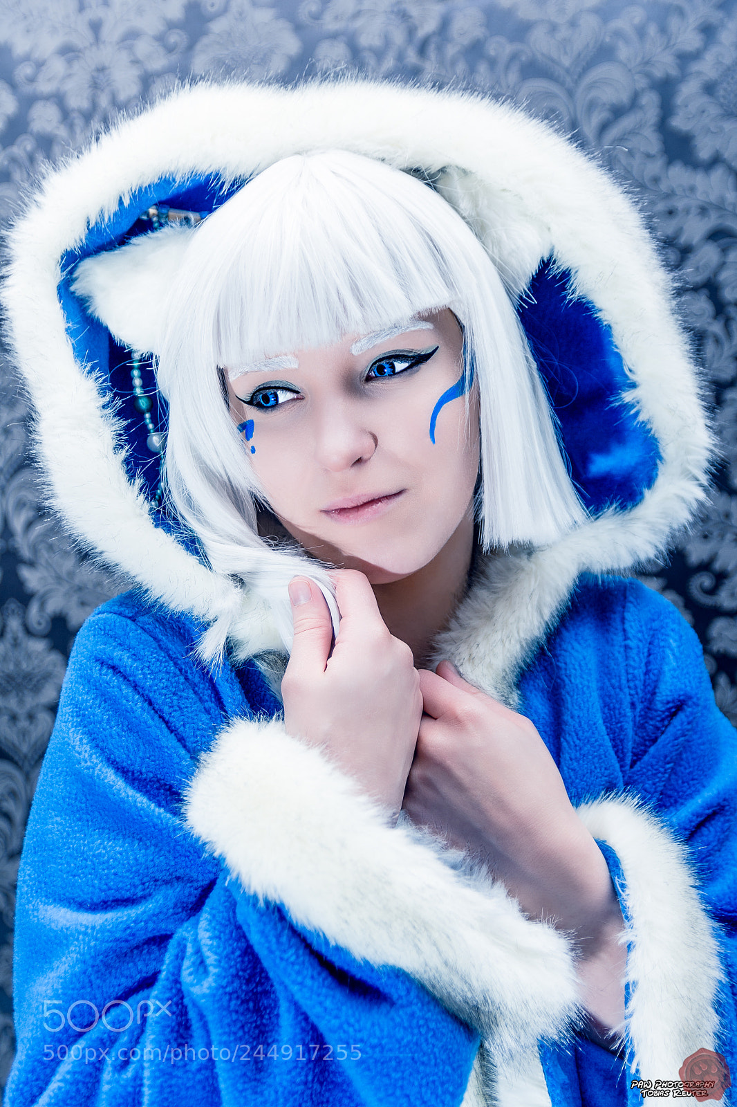 Nikon D7200 sample photo. Snow fox photography