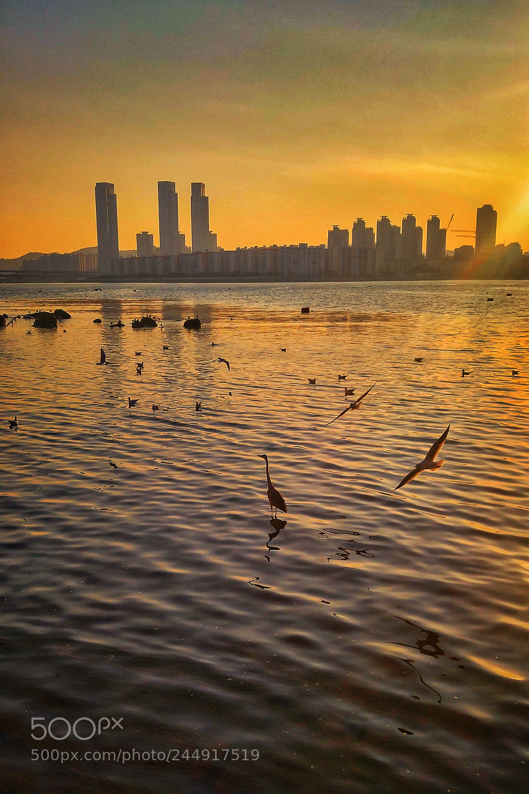 LG G4 sample photo. Untitled photography