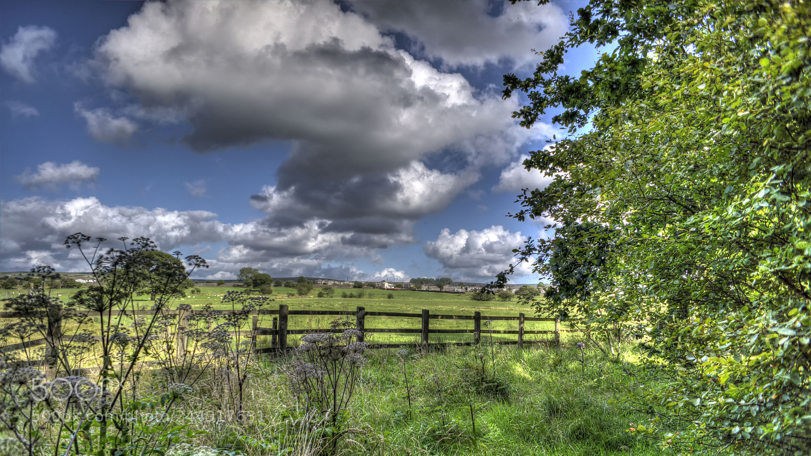 Sony Alpha NEX-7 sample photo. Tonemapped photography