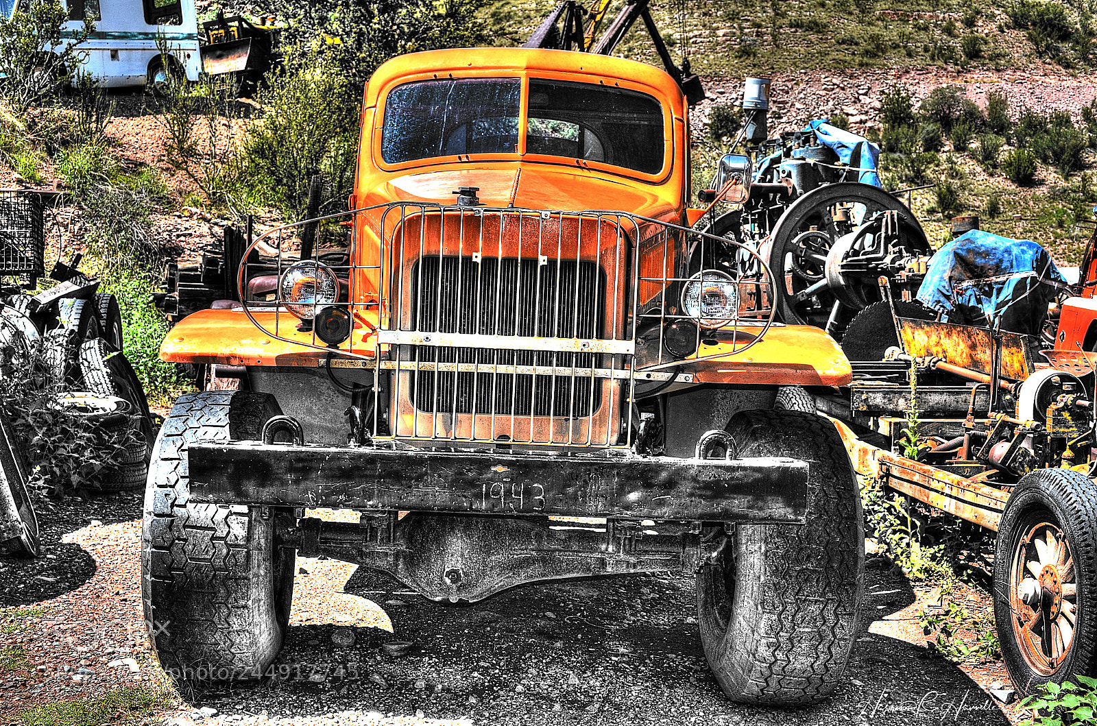 Nikon D5100 sample photo. Orange crush photography