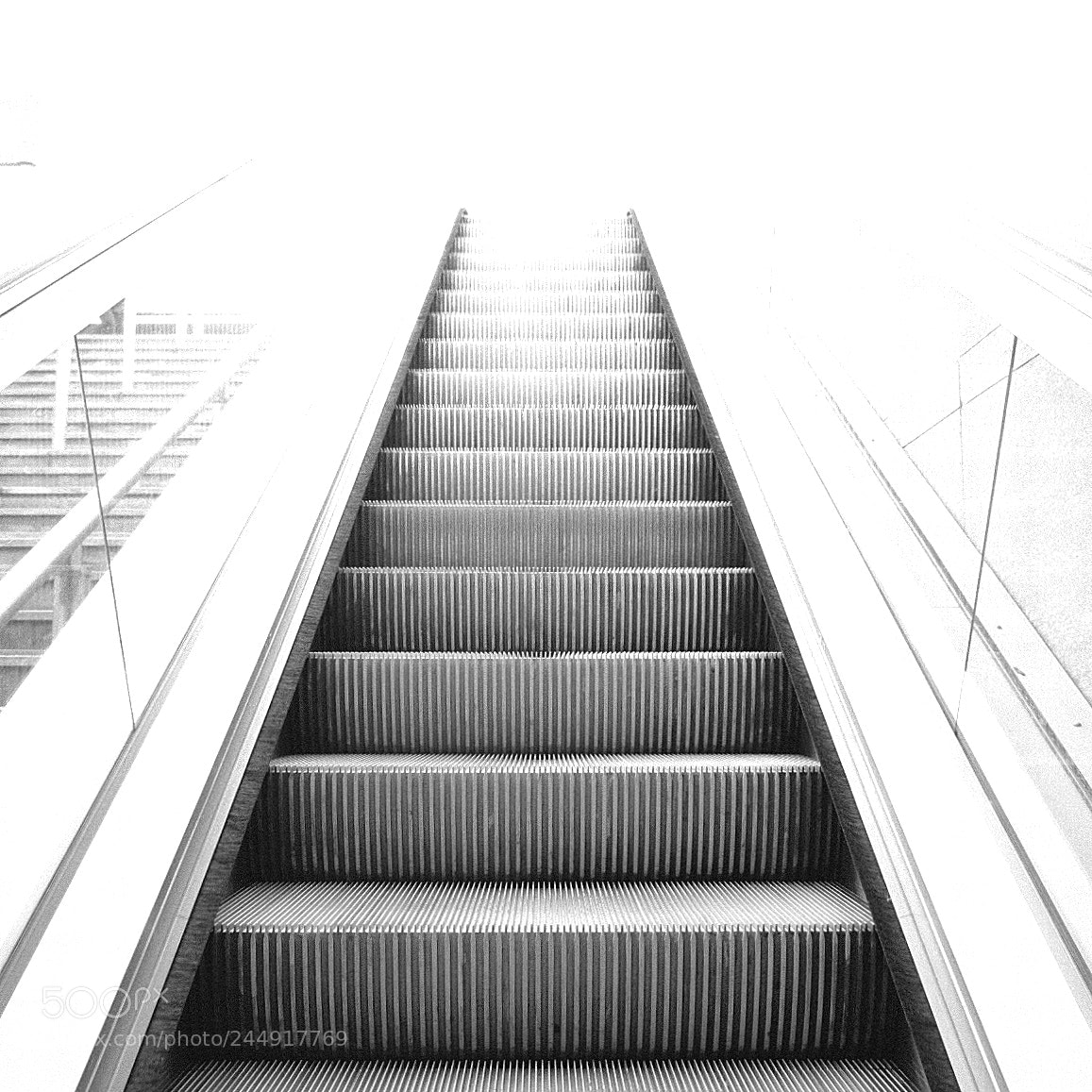 Fujifilm X-E3 sample photo. Toward the light. photography
