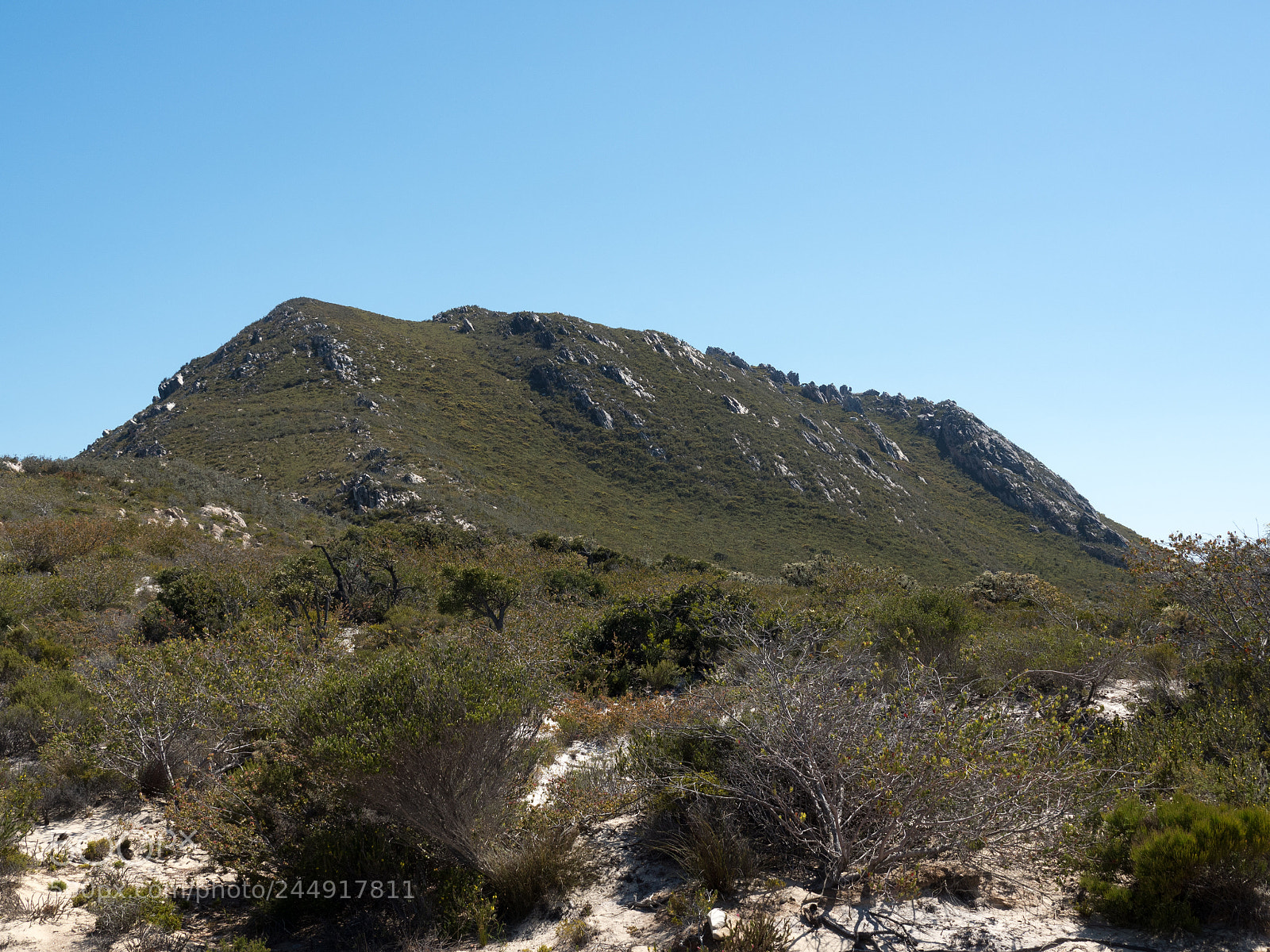Olympus OM-D E-M5 II sample photo. East mt barren photography