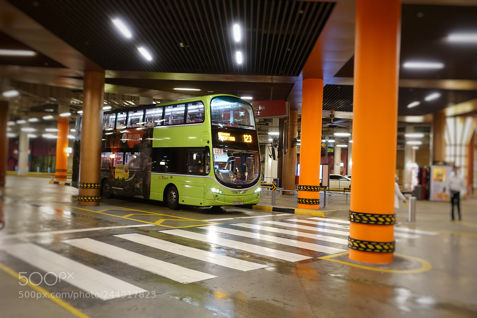 Sony DSC-RX100M5 sample photo. 很遥远的记忆 photography
