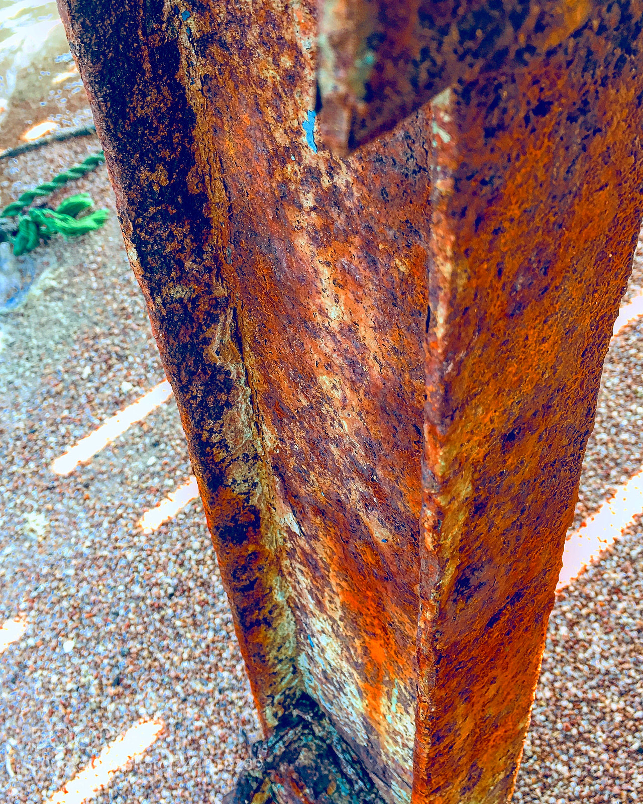 Apple iPhone 6s Plus sample photo. Untitled photography