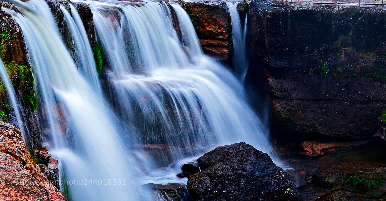 Nikon D5100 sample photo. || magical || photography
