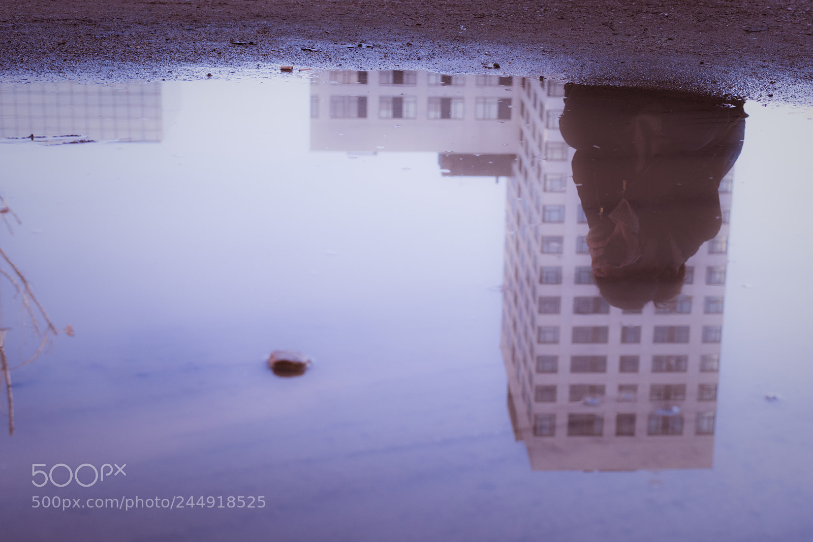 Nikon D810 sample photo. Untitled photography
