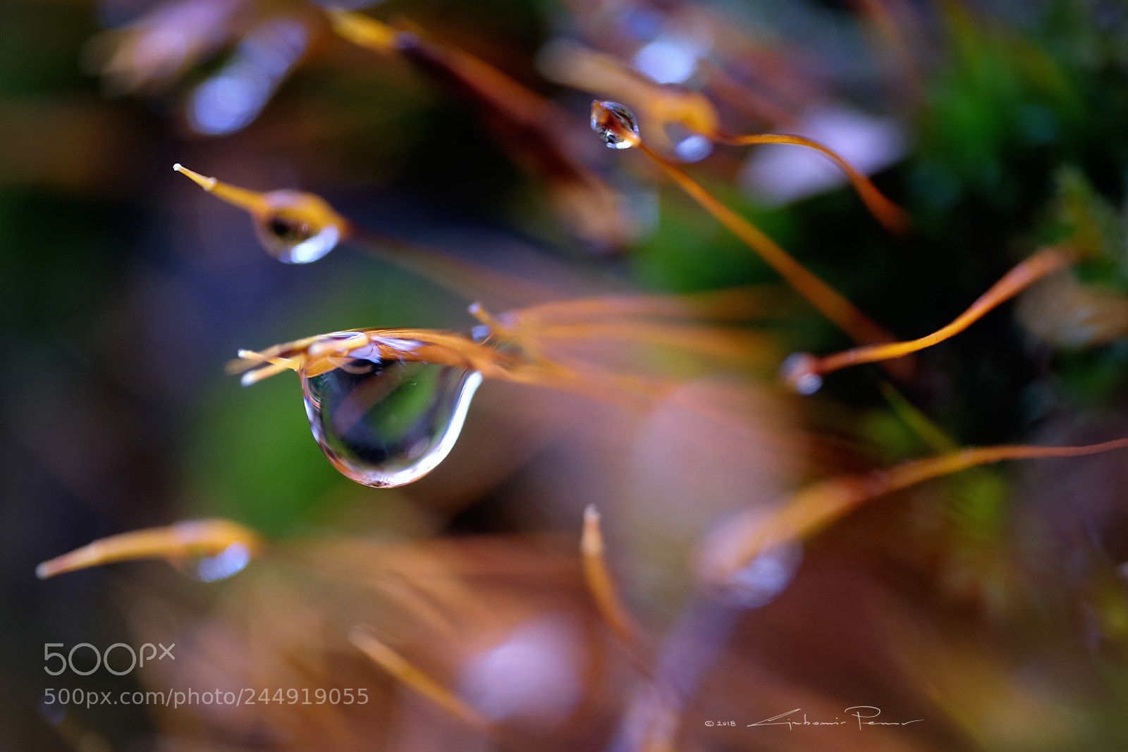 Fujifilm X-T1 sample photo. Colourful drops photography