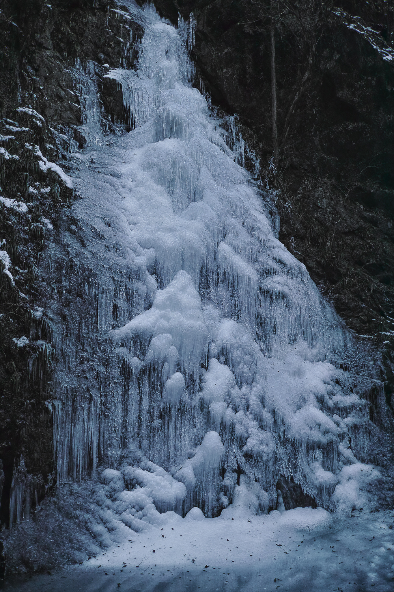 Sigma DP1 Merrill sample photo. Frozen water fall~ tokyo , japan~ photography