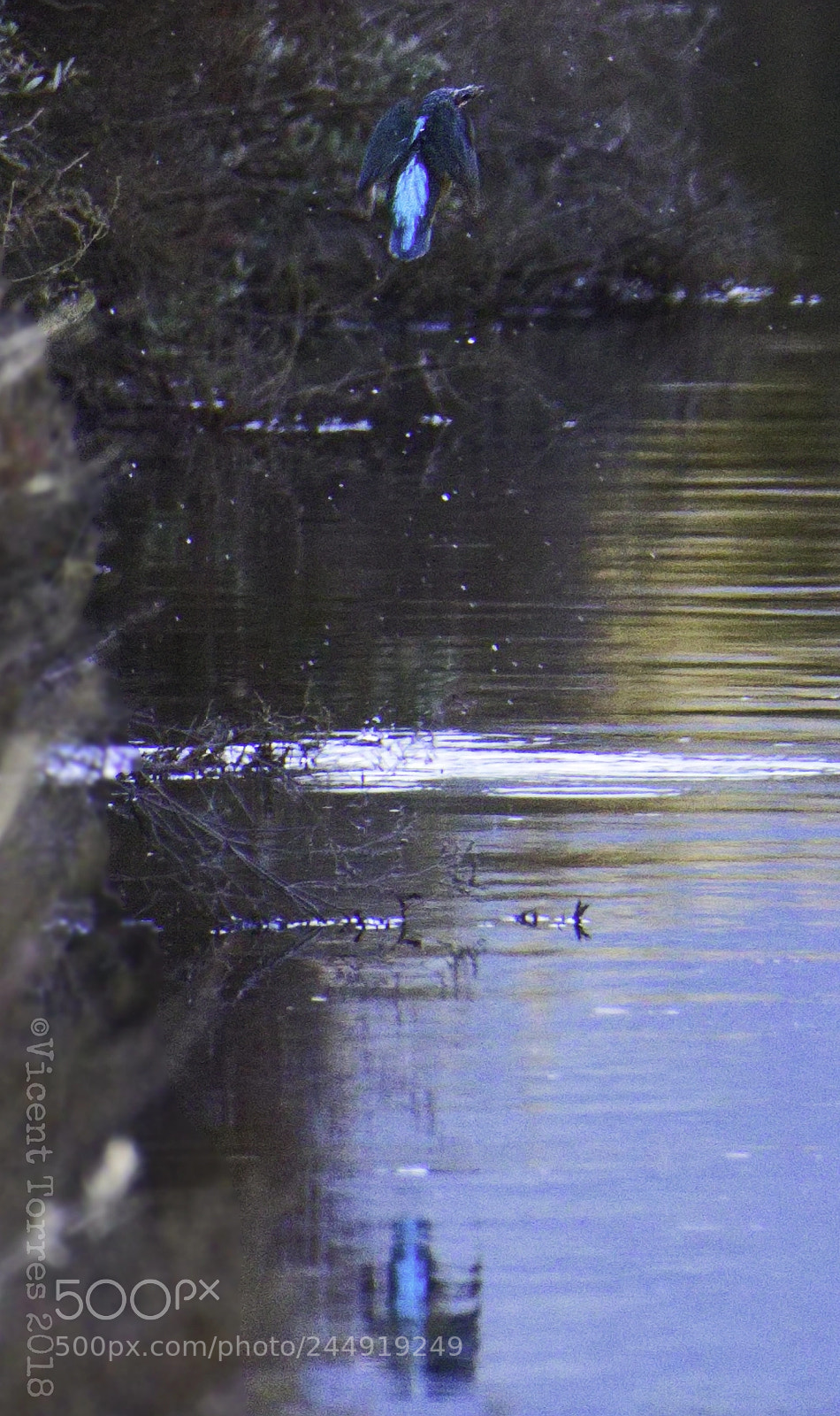 Canon EOS 7D Mark II sample photo. Blauet's reflection. photography