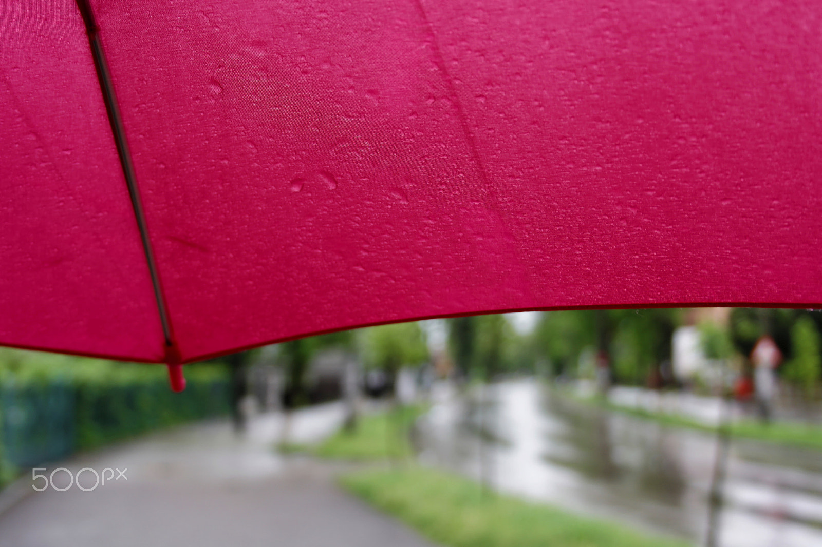 Canon EF-S 18-55mm F3.5-5.6 II sample photo. Rain photography