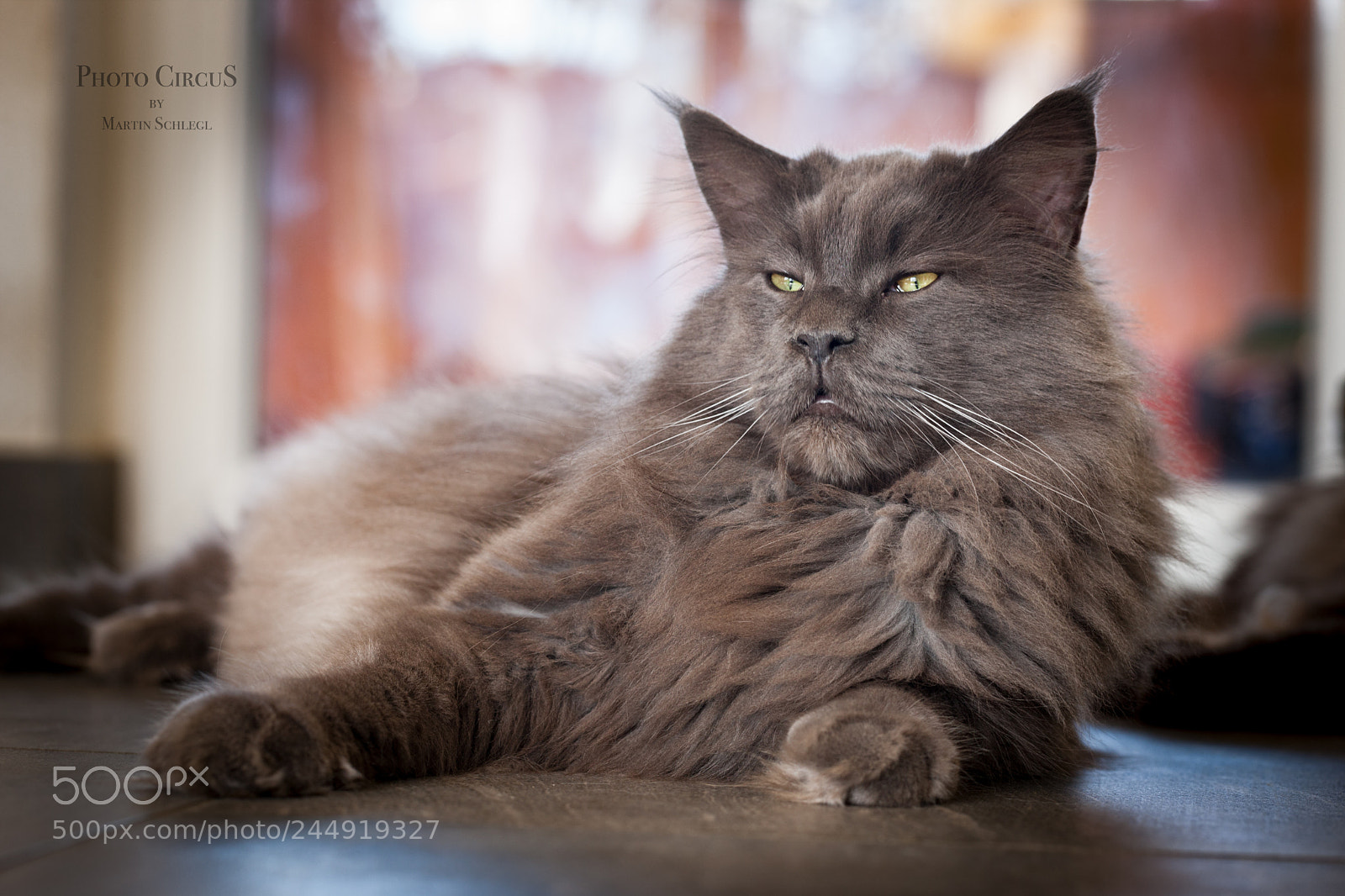 Canon EOS-1Ds Mark III sample photo. Alppolo photography