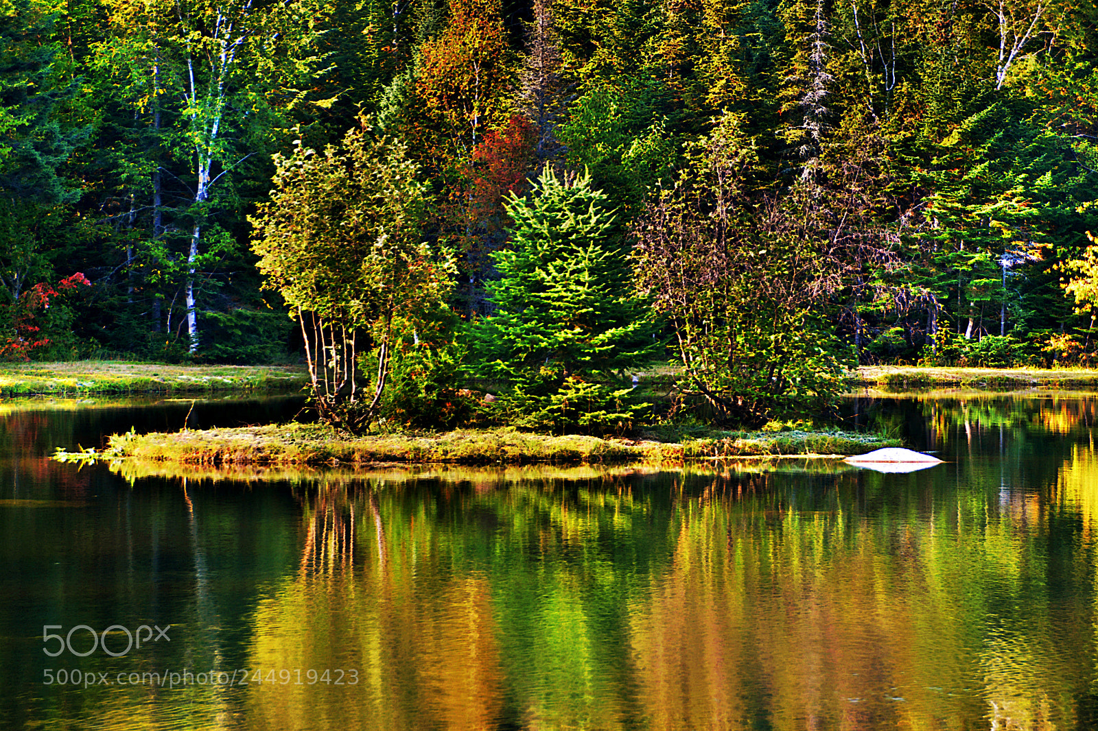 Nikon D7100 sample photo. Reflet d’automne photography