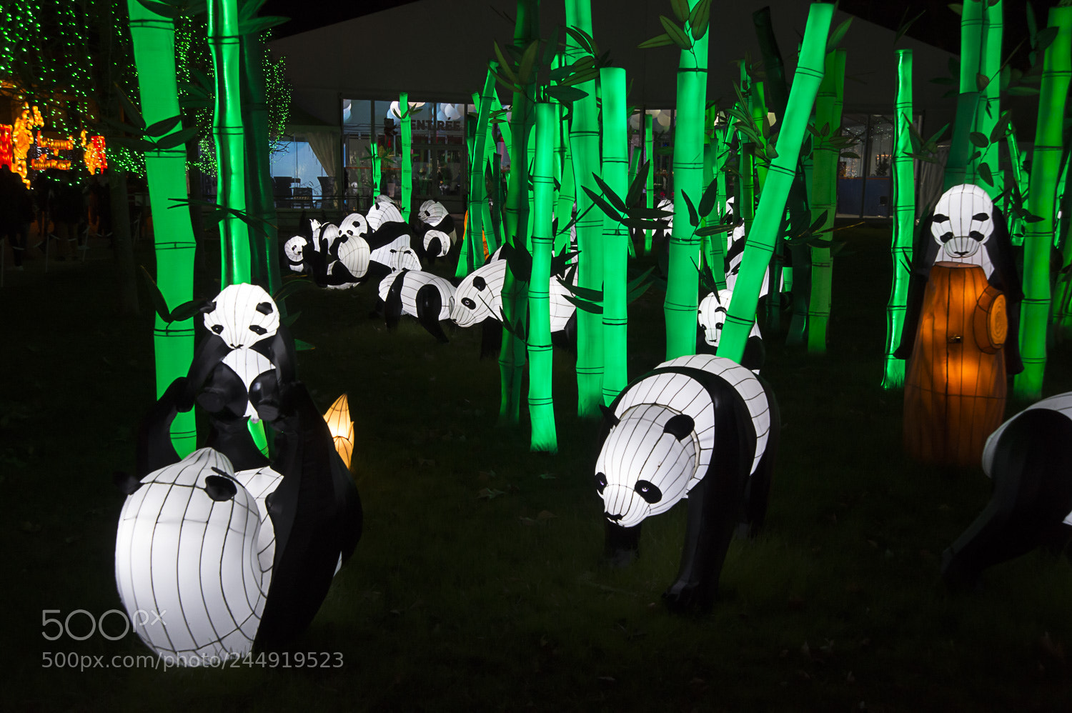 Nikon D4S sample photo. Festival des lanternes photography