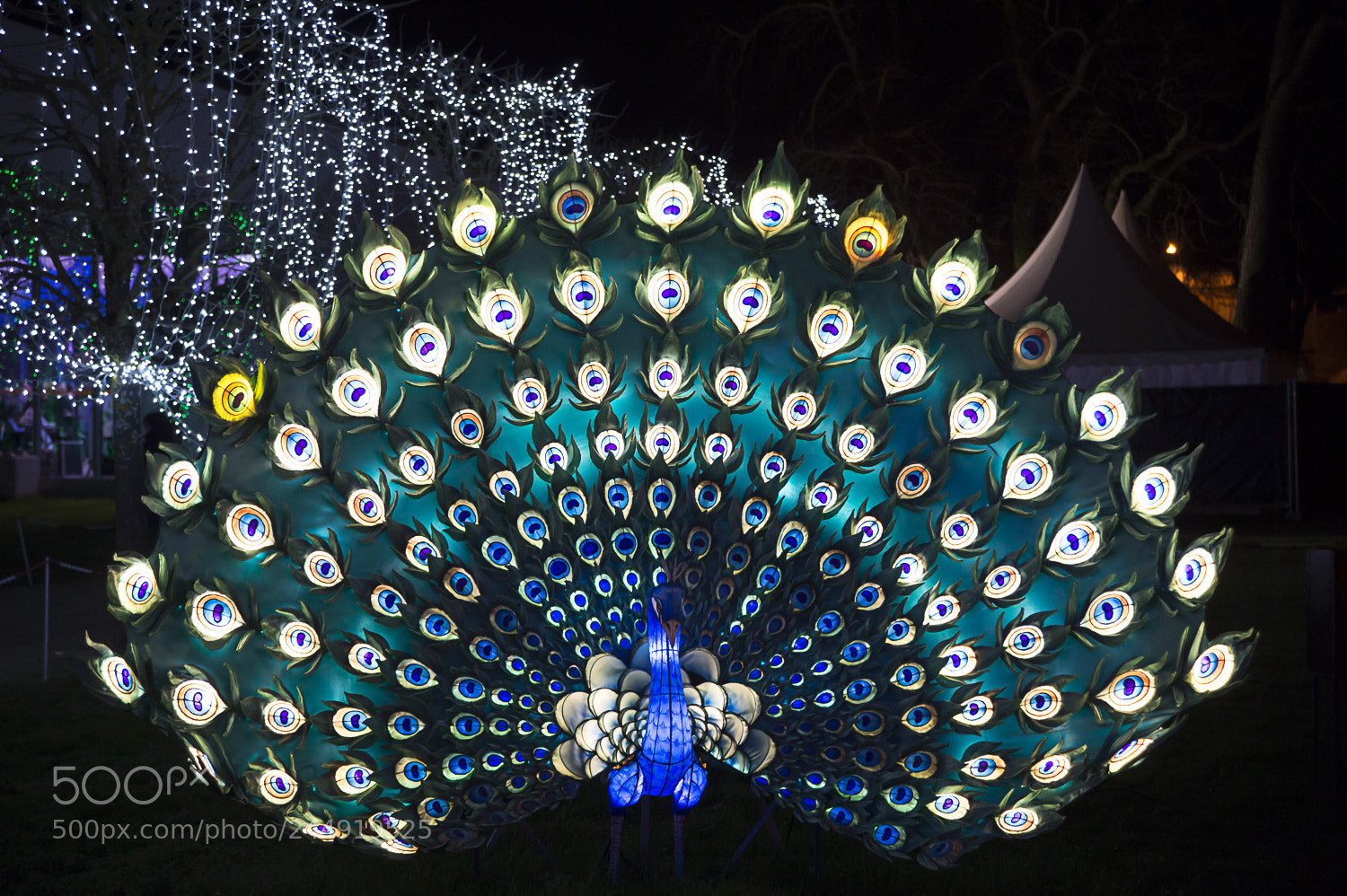 Nikon D4S sample photo. Festival des lanternes photography