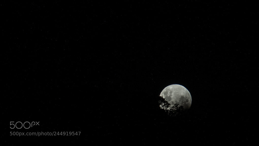 Sony a7R sample photo. Mooooon photography