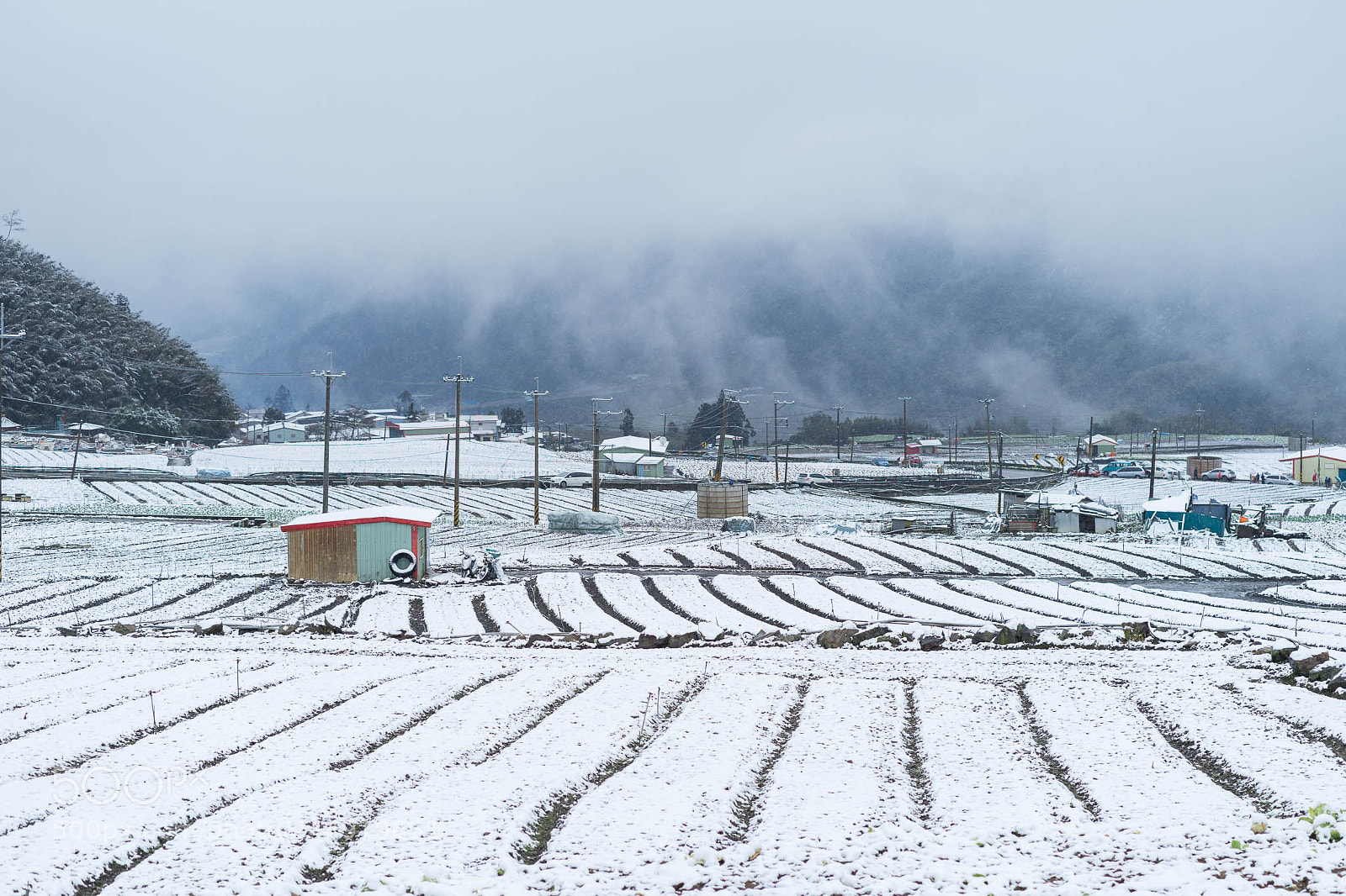 Sony a7 II sample photo. 雪 photography