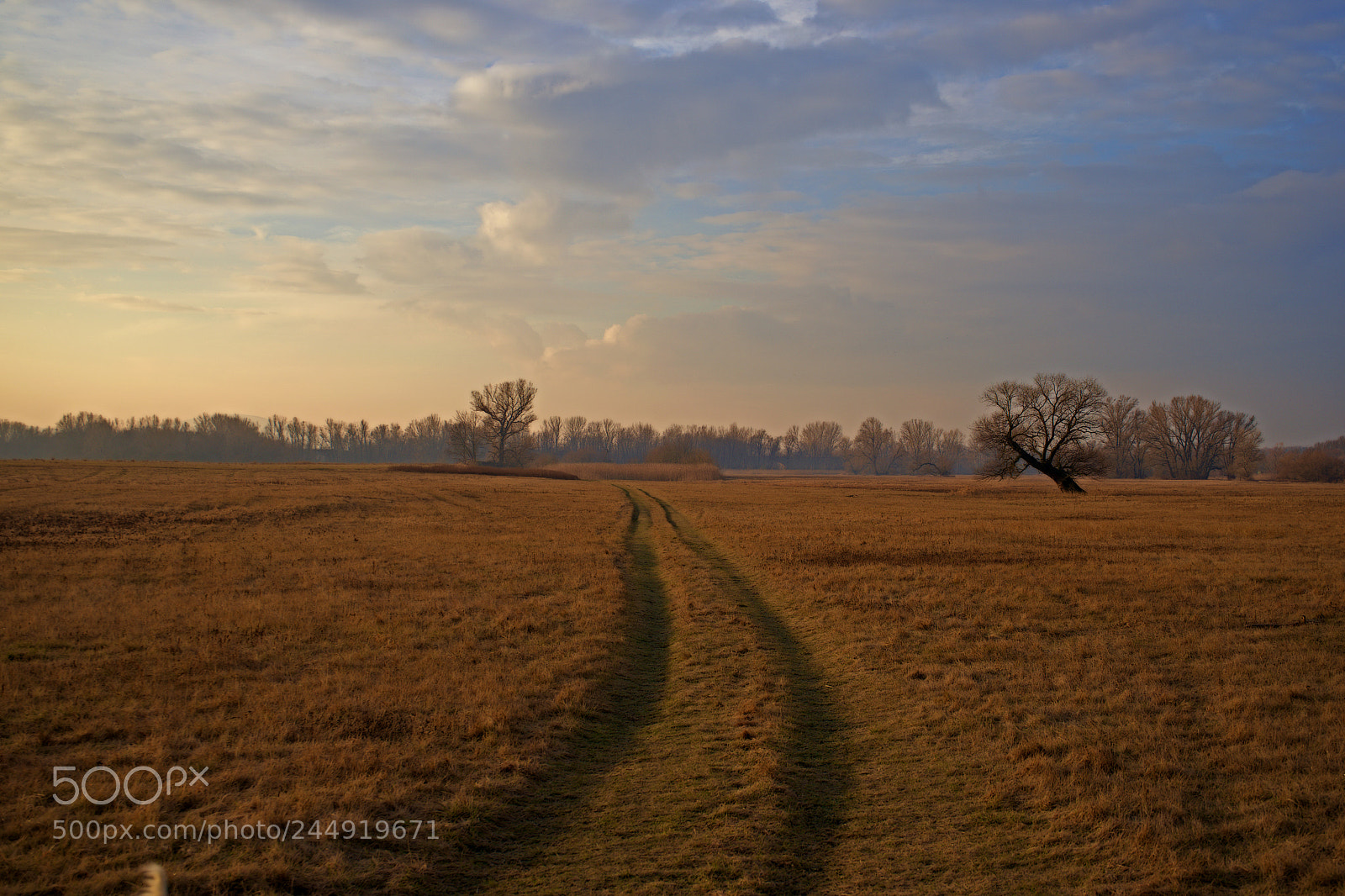 Sony a7 sample photo. Clouds sky photography