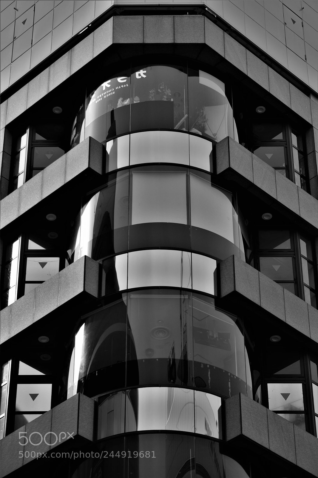 Nikon D500 sample photo. Untitled photography