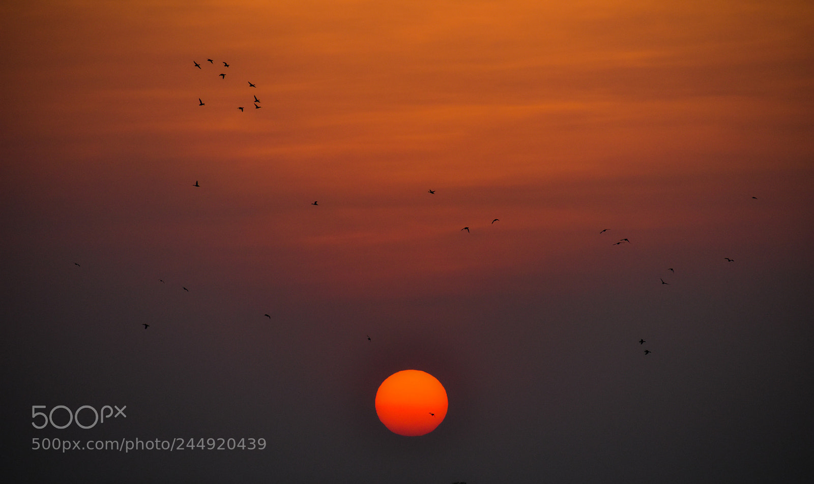 Nikon D3400 sample photo. Sunset photography