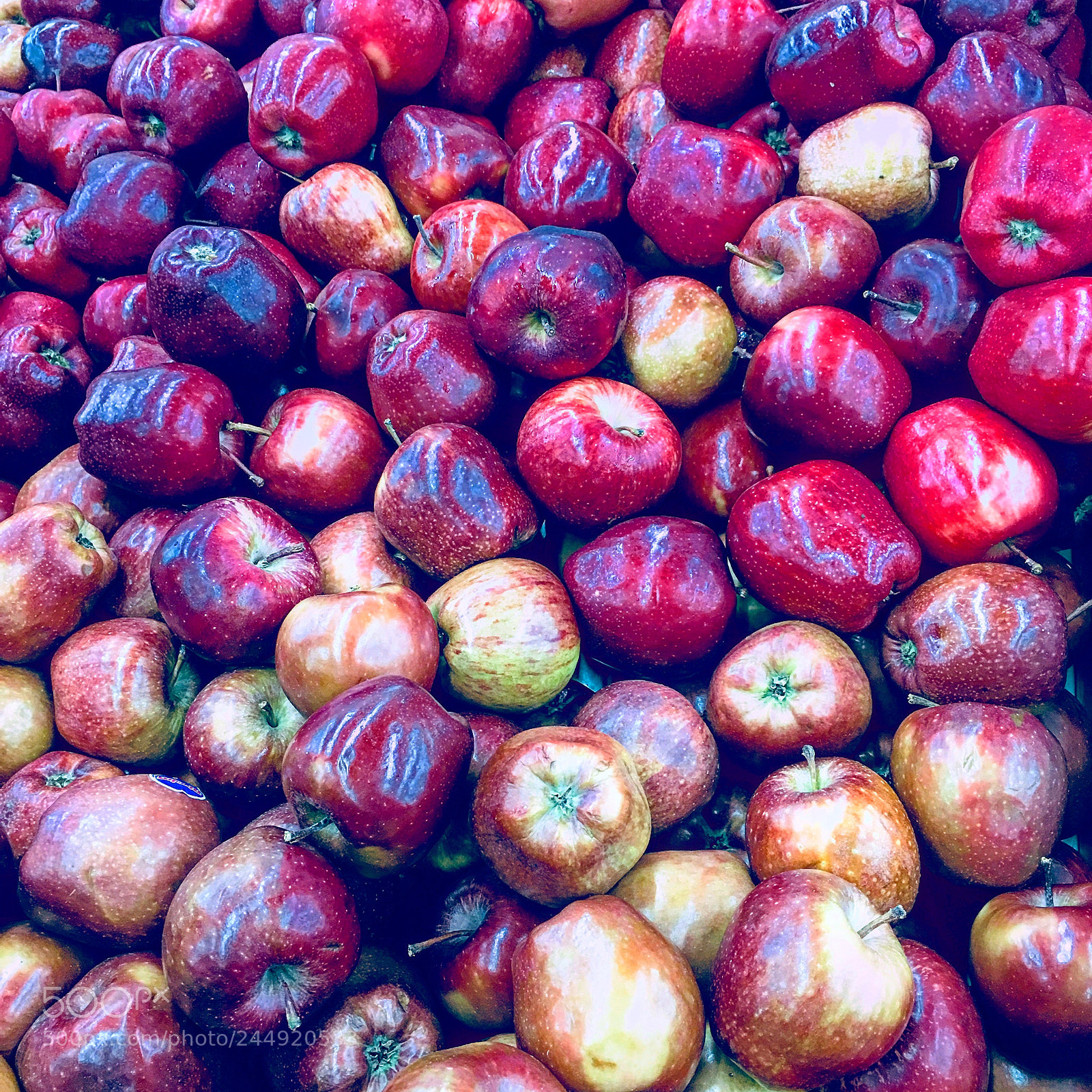 Apple iPhone 6s Plus sample photo. Untitled photography