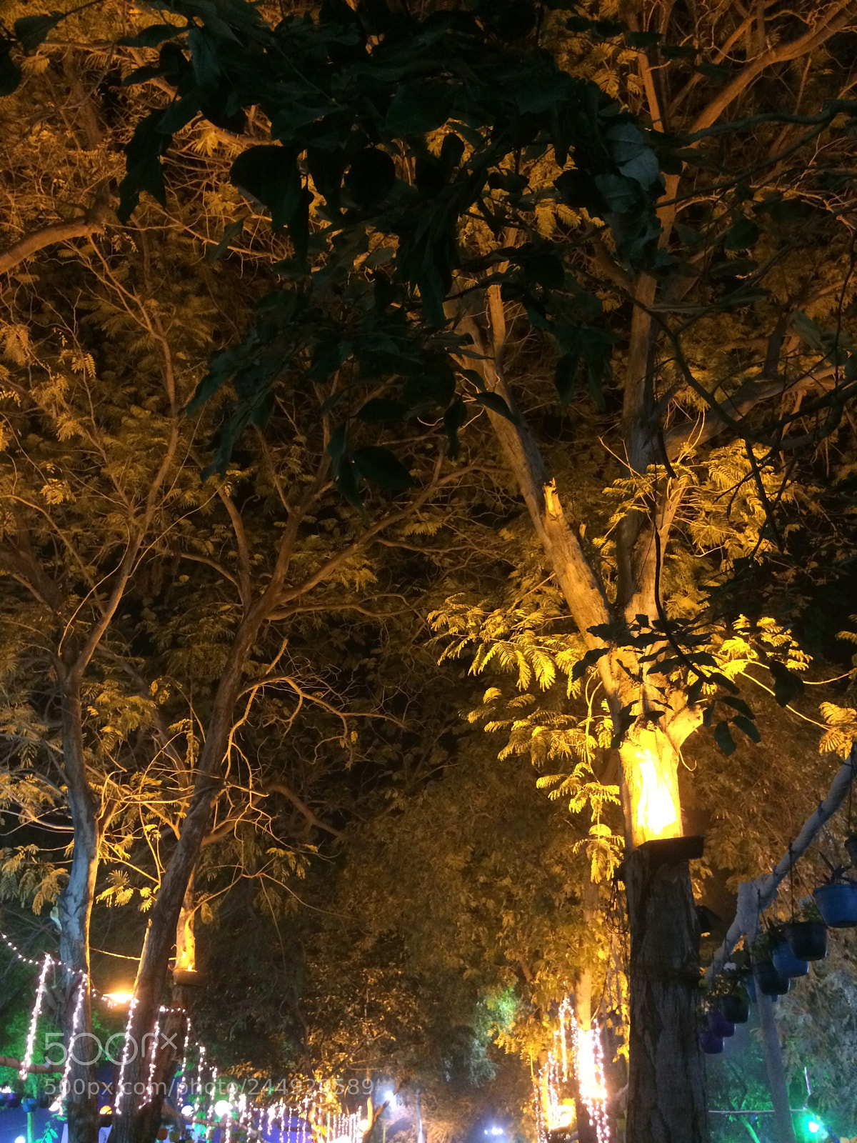 Apple iPhone 5s sample photo. Untitled photography