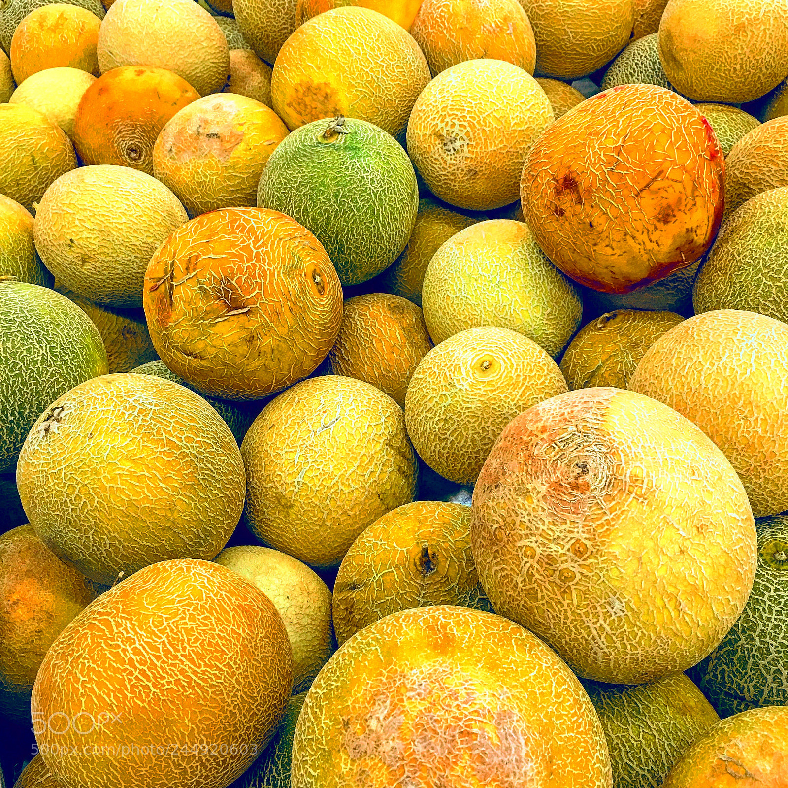 Apple iPhone 6s Plus sample photo. Untitled photography
