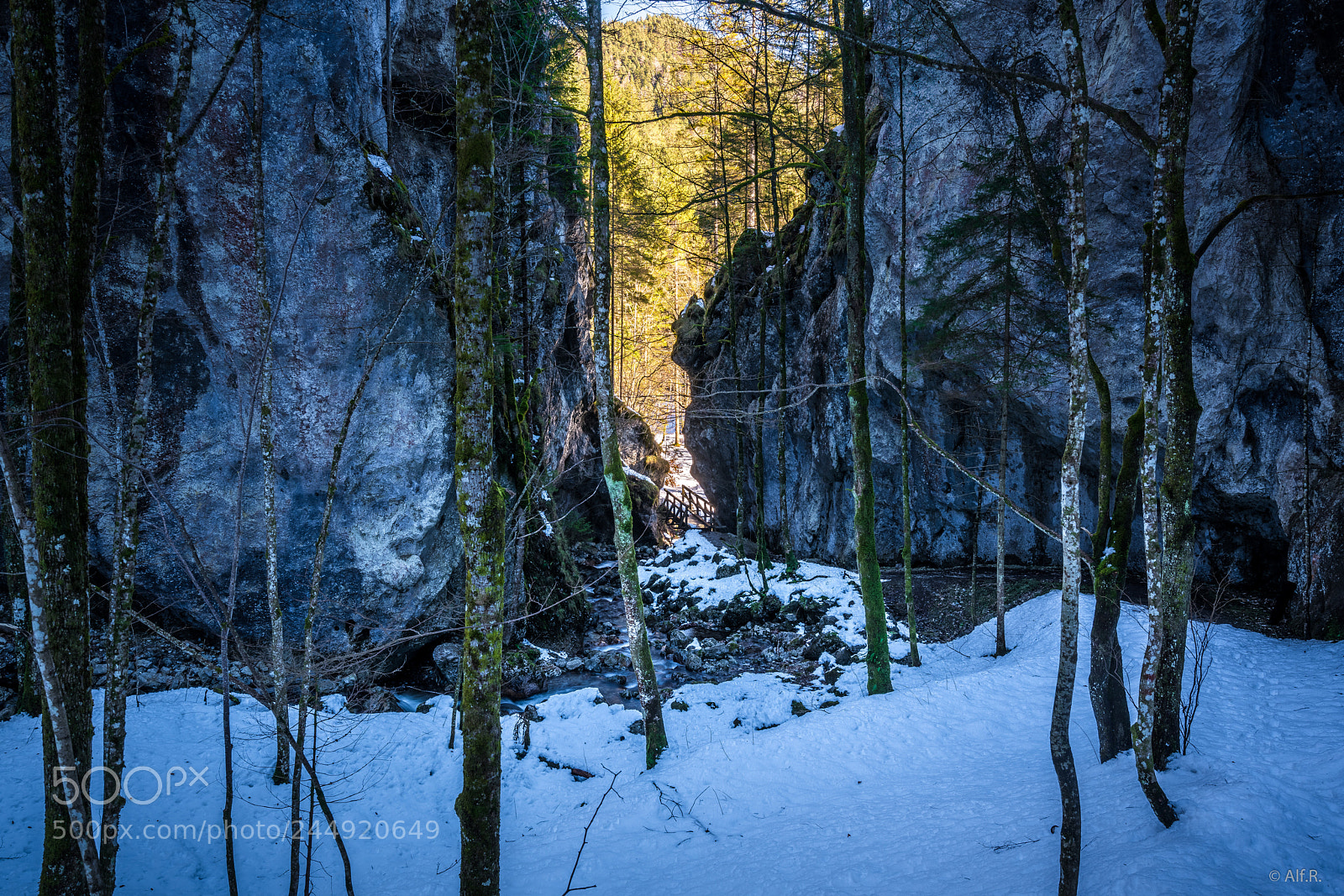 Sony a7R II sample photo. Entrance photography