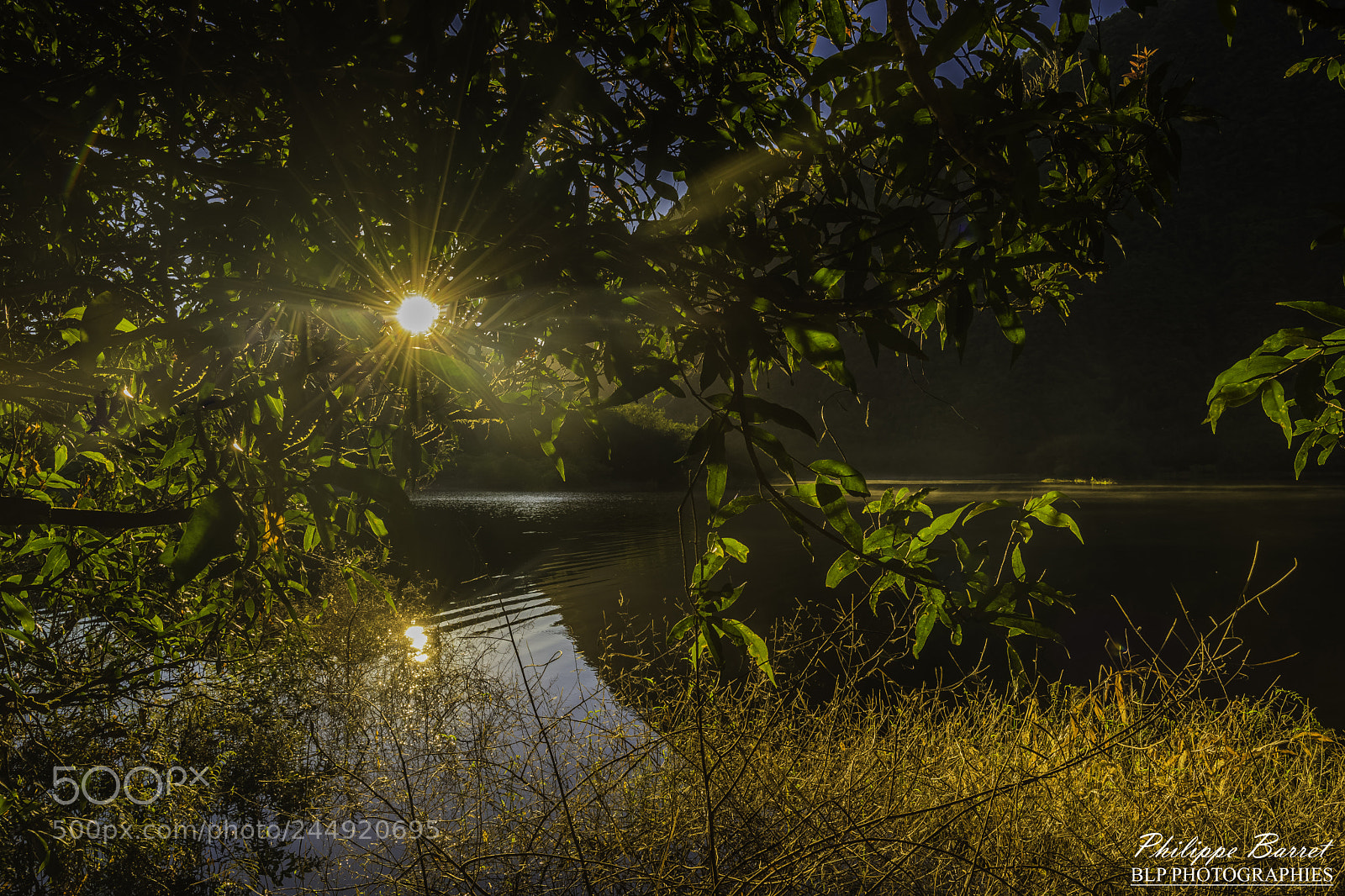 Nikon D7200 sample photo. Lumière du matin photography