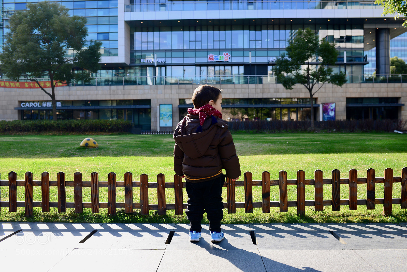 Nikon D610 sample photo. 立春 photography