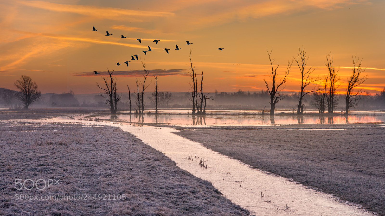Nikon D800E sample photo. Before sunrise photography