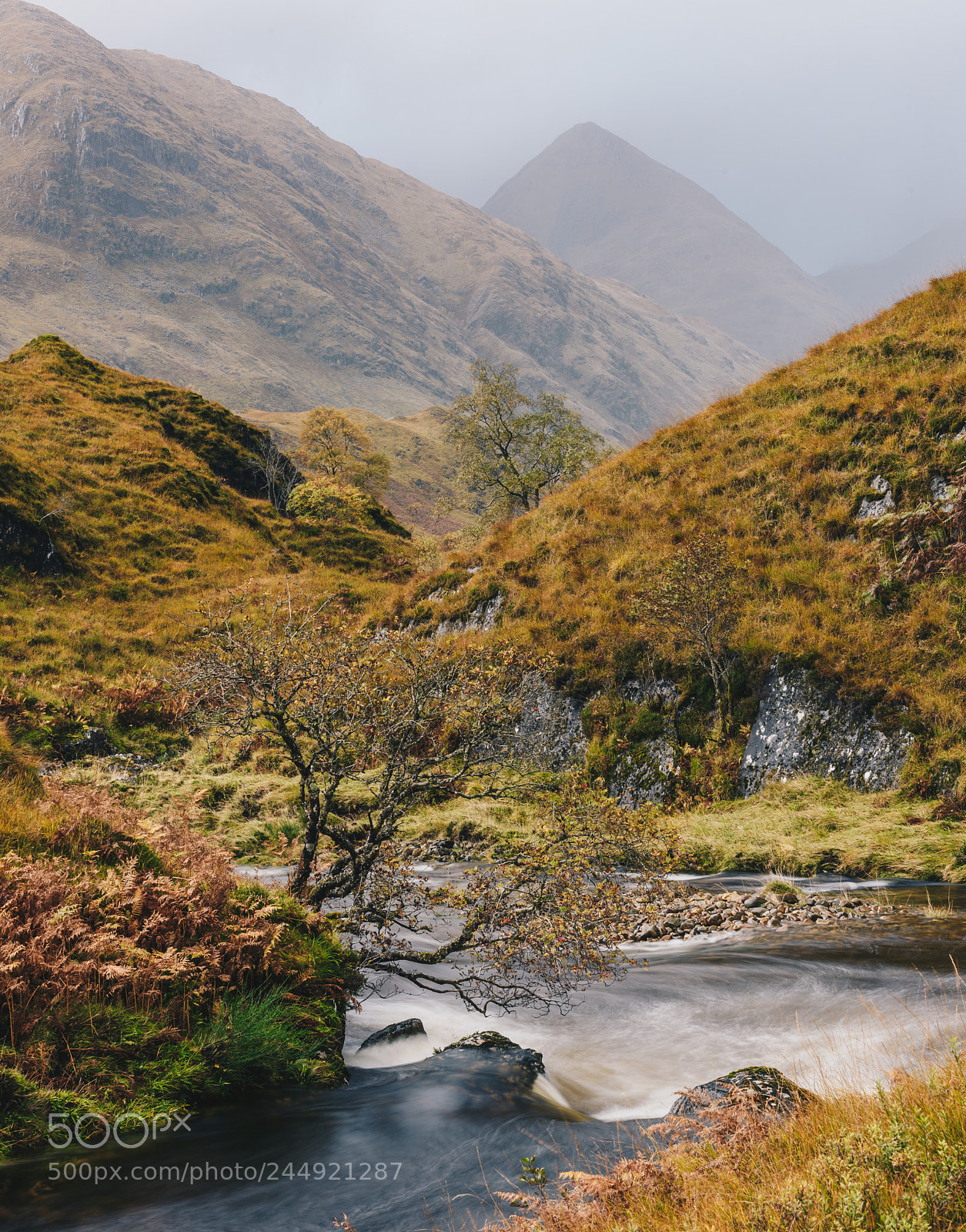Nikon D810 sample photo. Invershiel photography