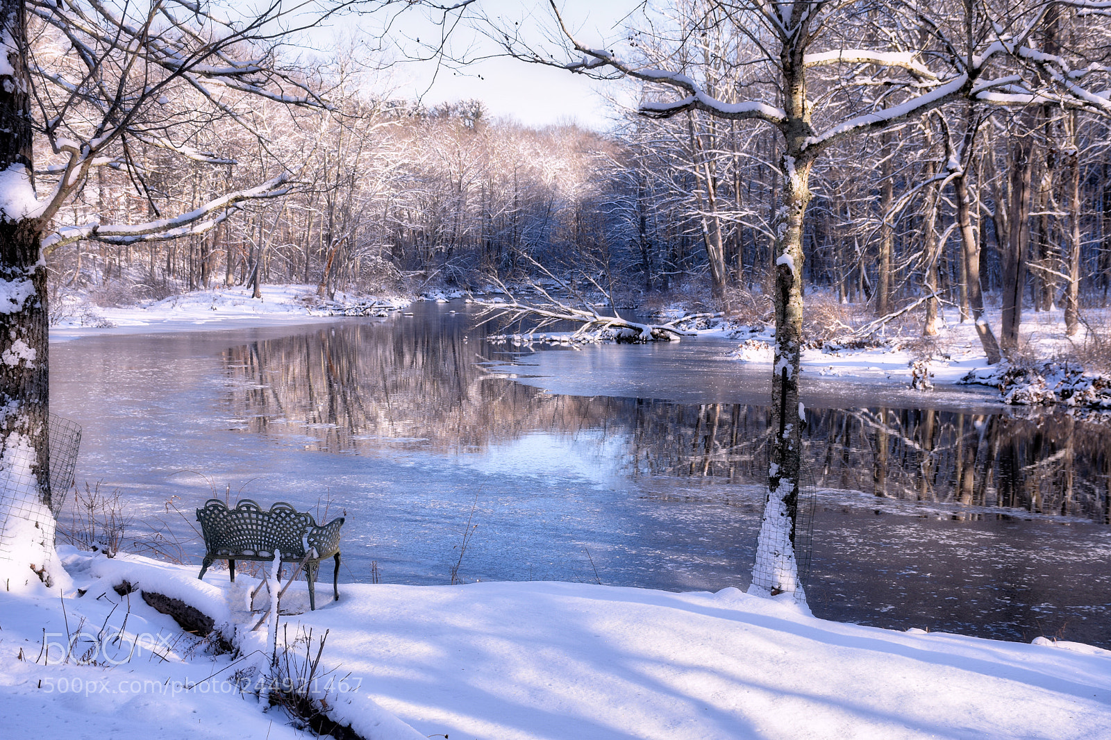 Nikon D7200 sample photo. Winter's rest photography