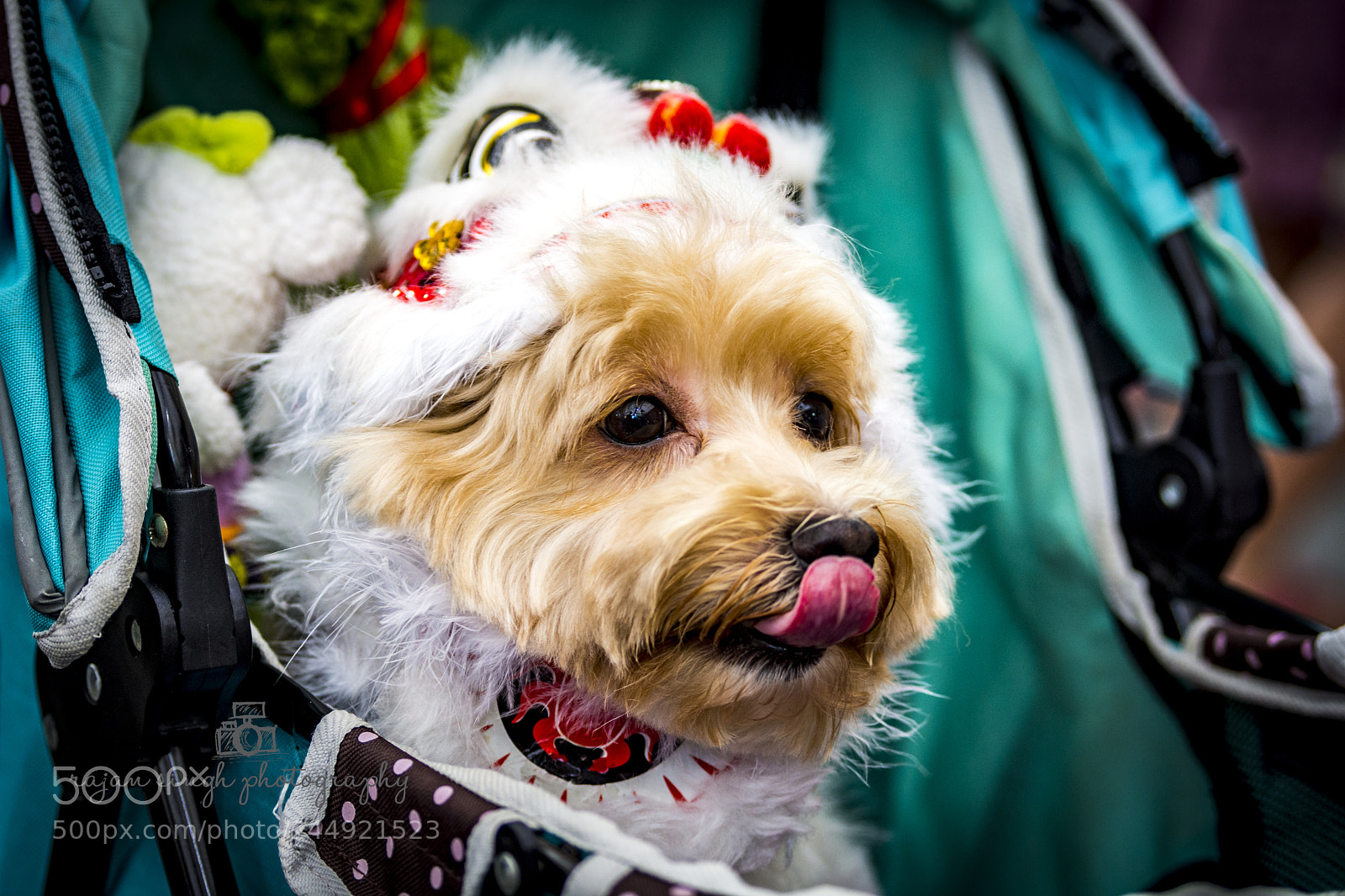 Nikon D7200 sample photo. Supermodel photography