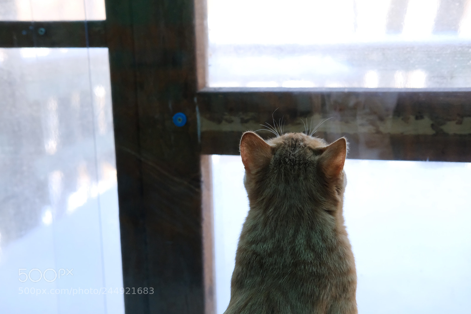 Fujifilm X-T2 sample photo. Want out photography