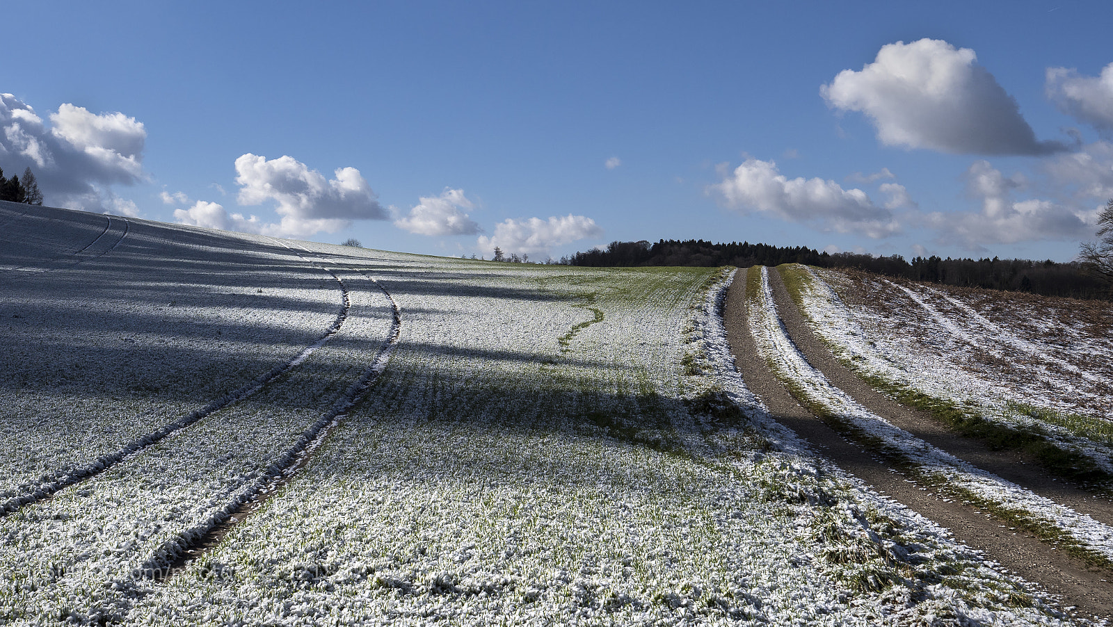 Panasonic Lumix DC-G9 sample photo. Winter grain between dirt photography