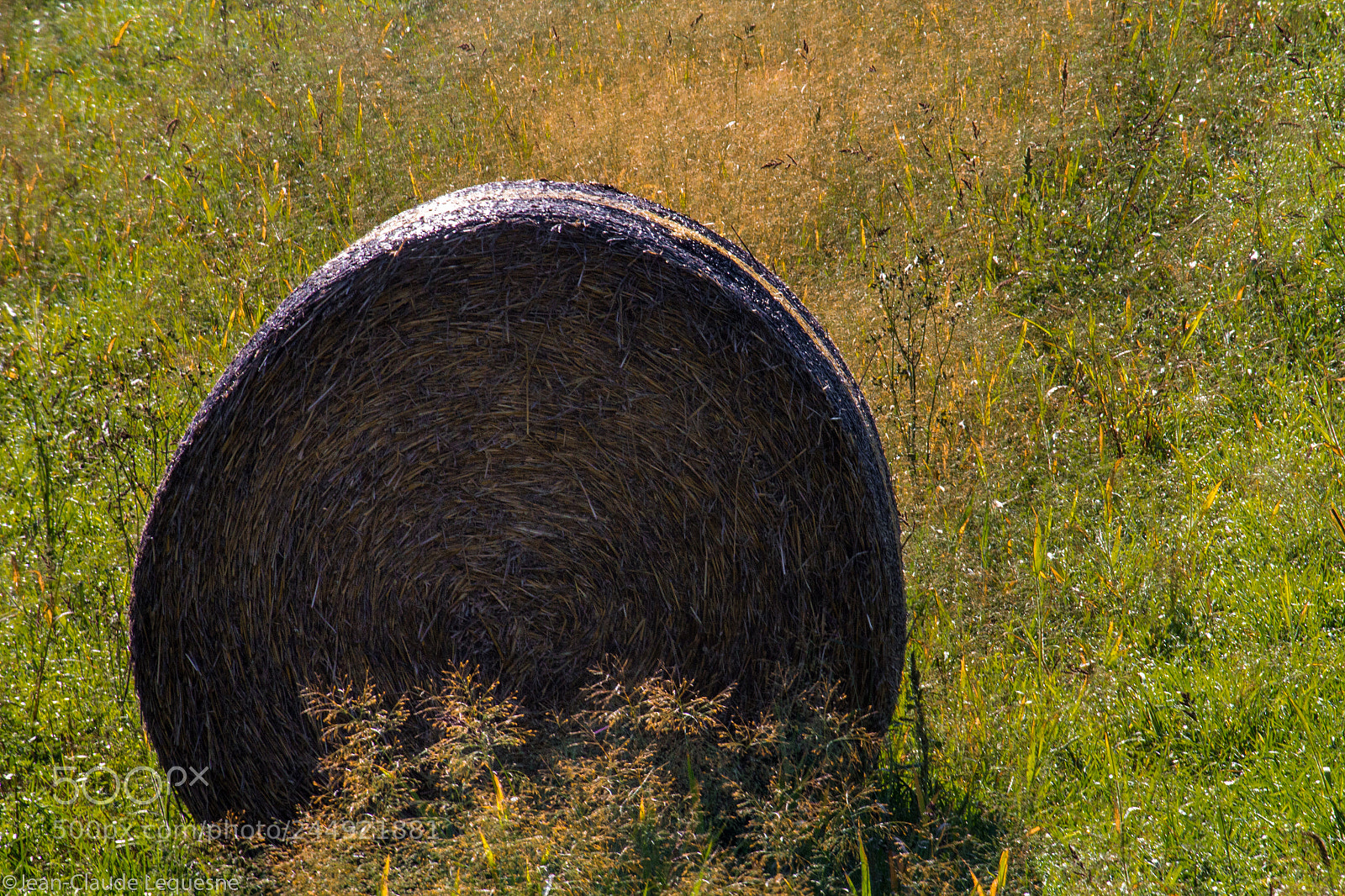 Canon EOS 60D sample photo. Haymaking season 2 photography