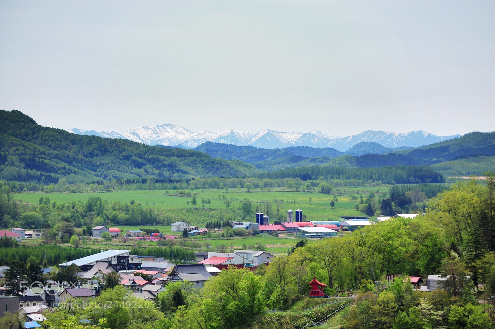 Nikon D40 sample photo. Spring landscape photography