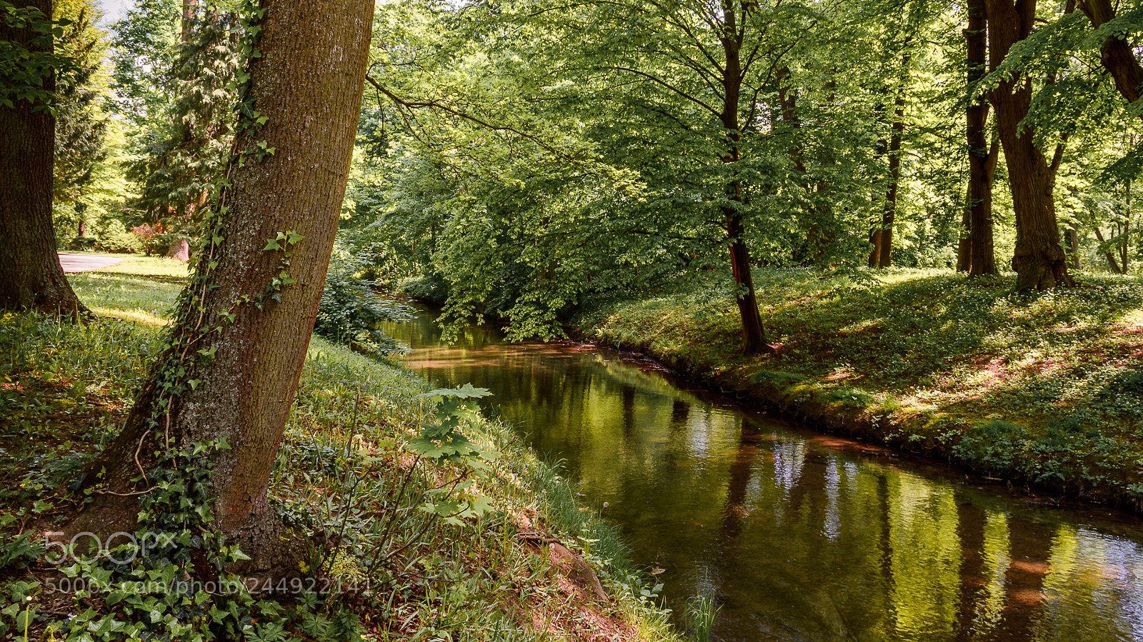 Nikon D3200 sample photo. Along the river photography
