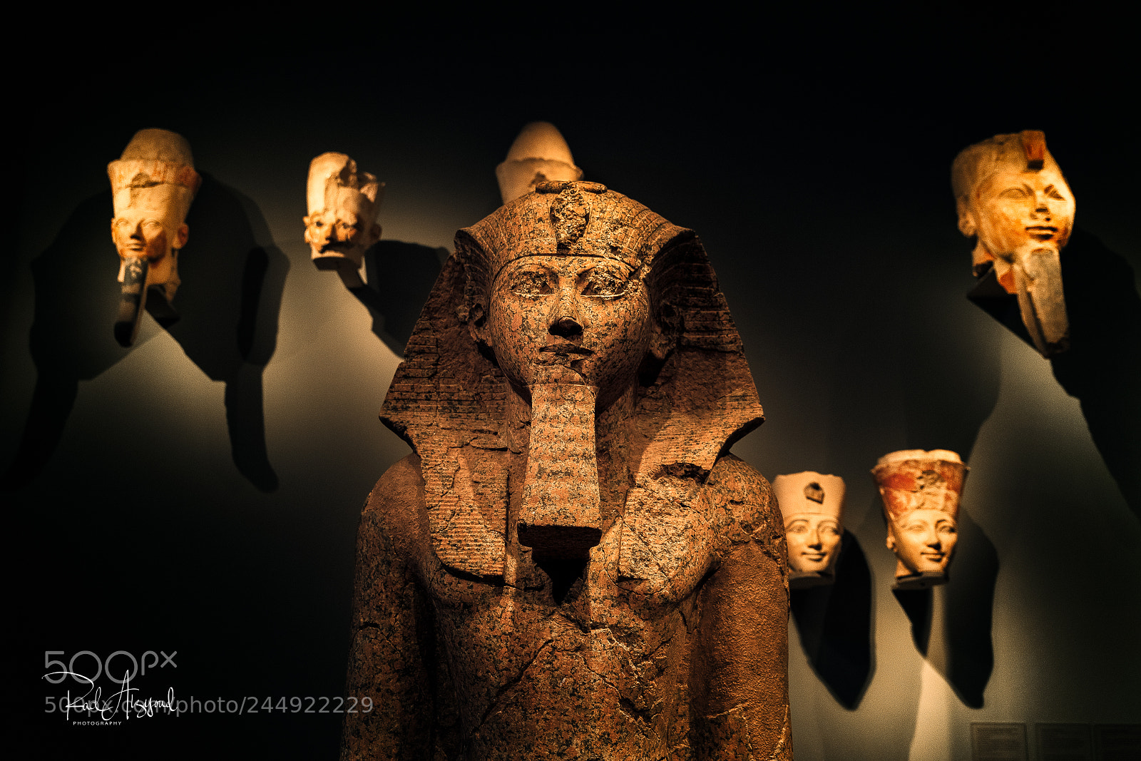Nikon D850 sample photo. A pharaoh at the photography
