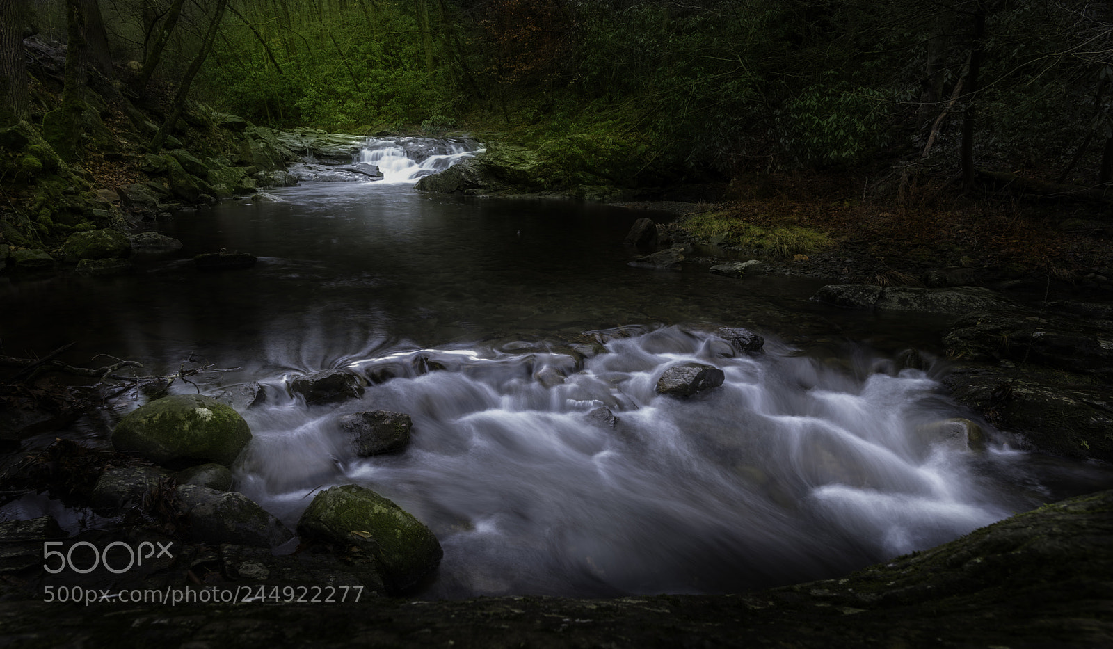 Nikon D810 sample photo. Smoky fall photography