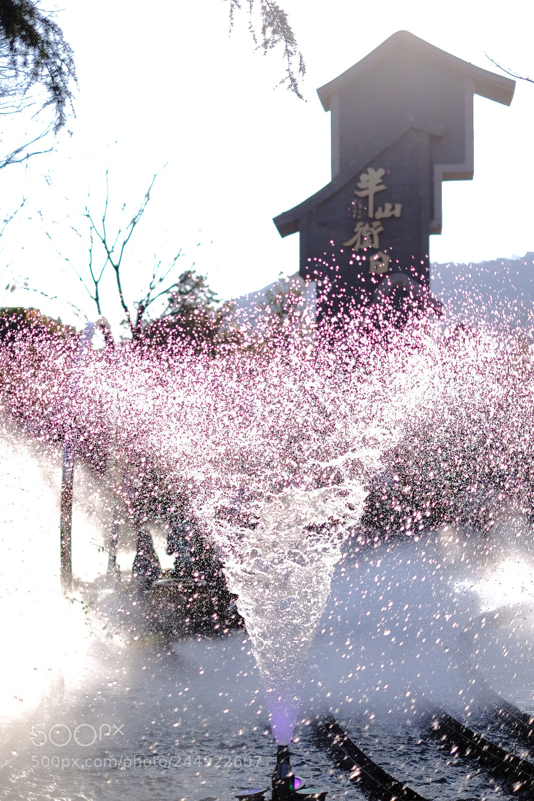 Fujifilm X-T20 sample photo. Untitled photography