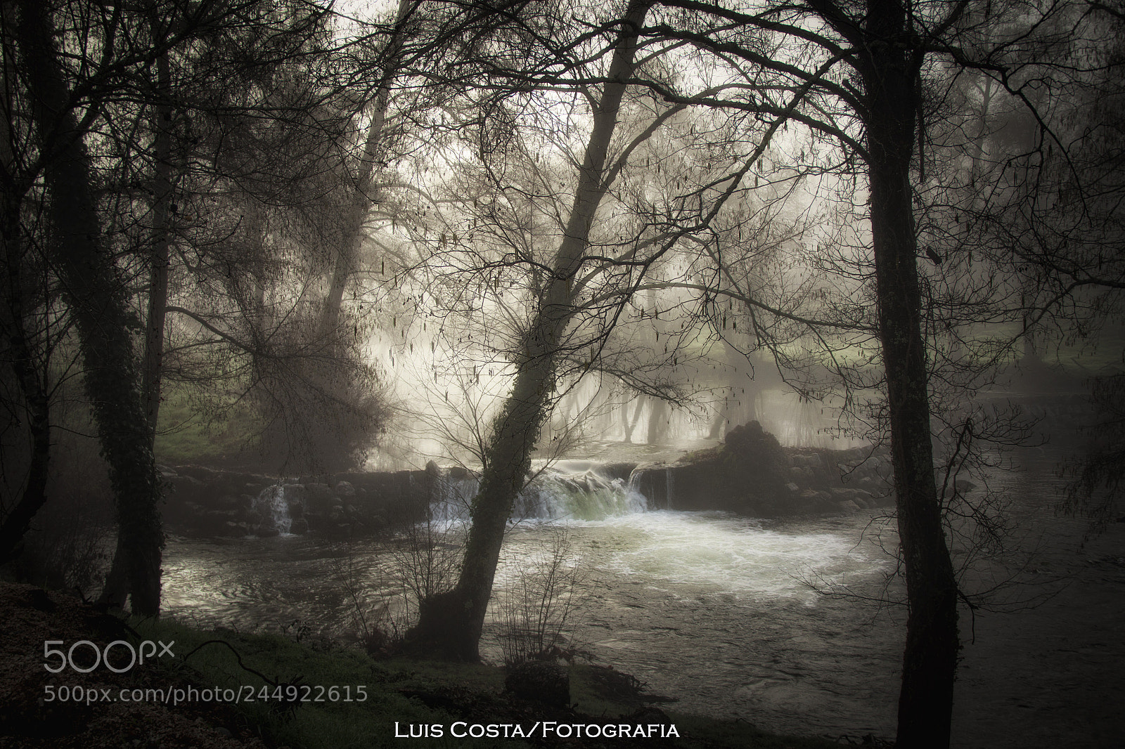 Canon EOS 60D sample photo. Foggy morning photography