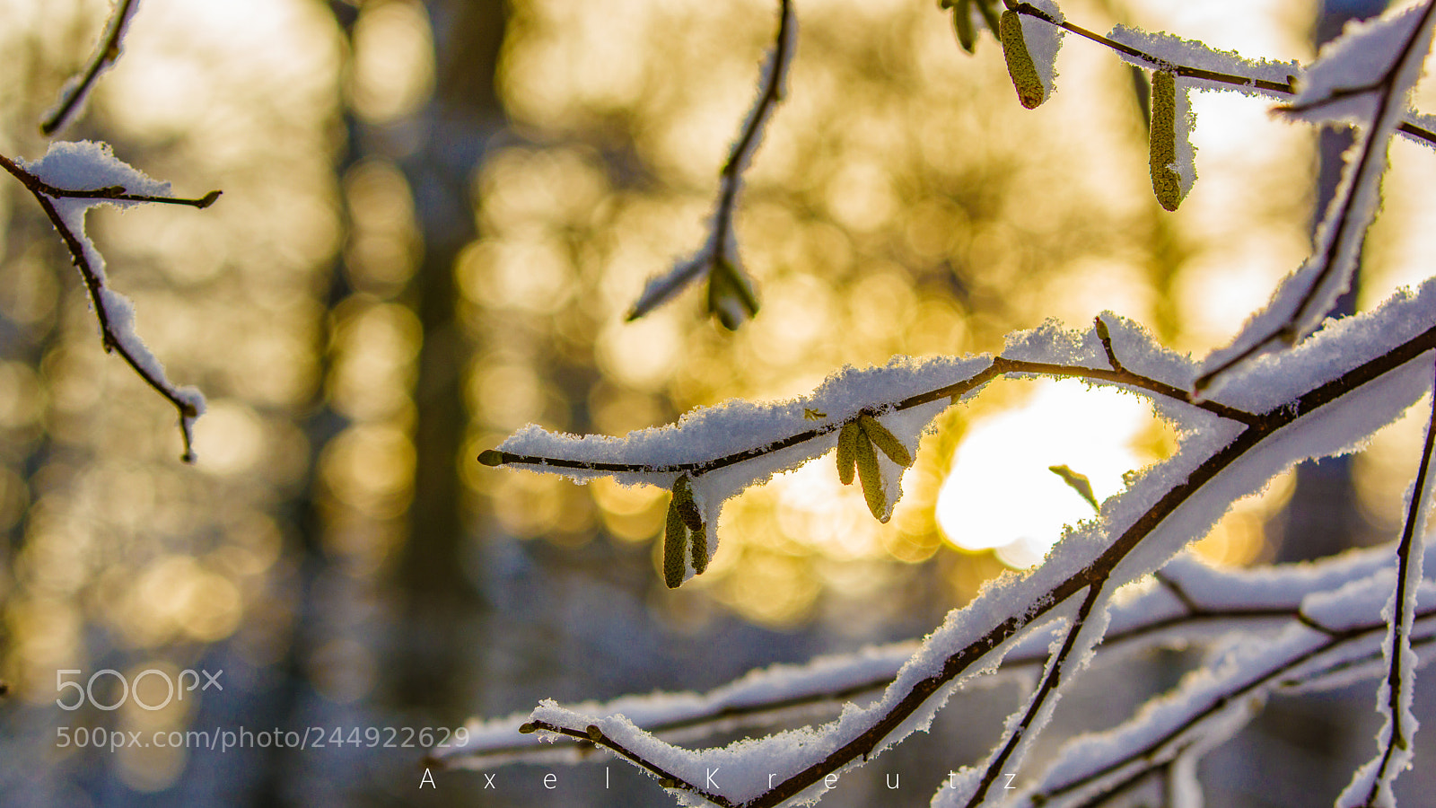 Pentax K-3 II sample photo. Sunset an der siegquelle photography