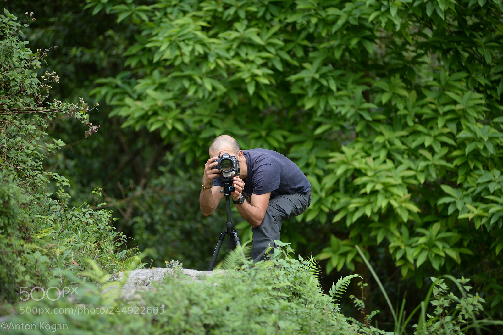 Nikon Df sample photo. Itzik photography