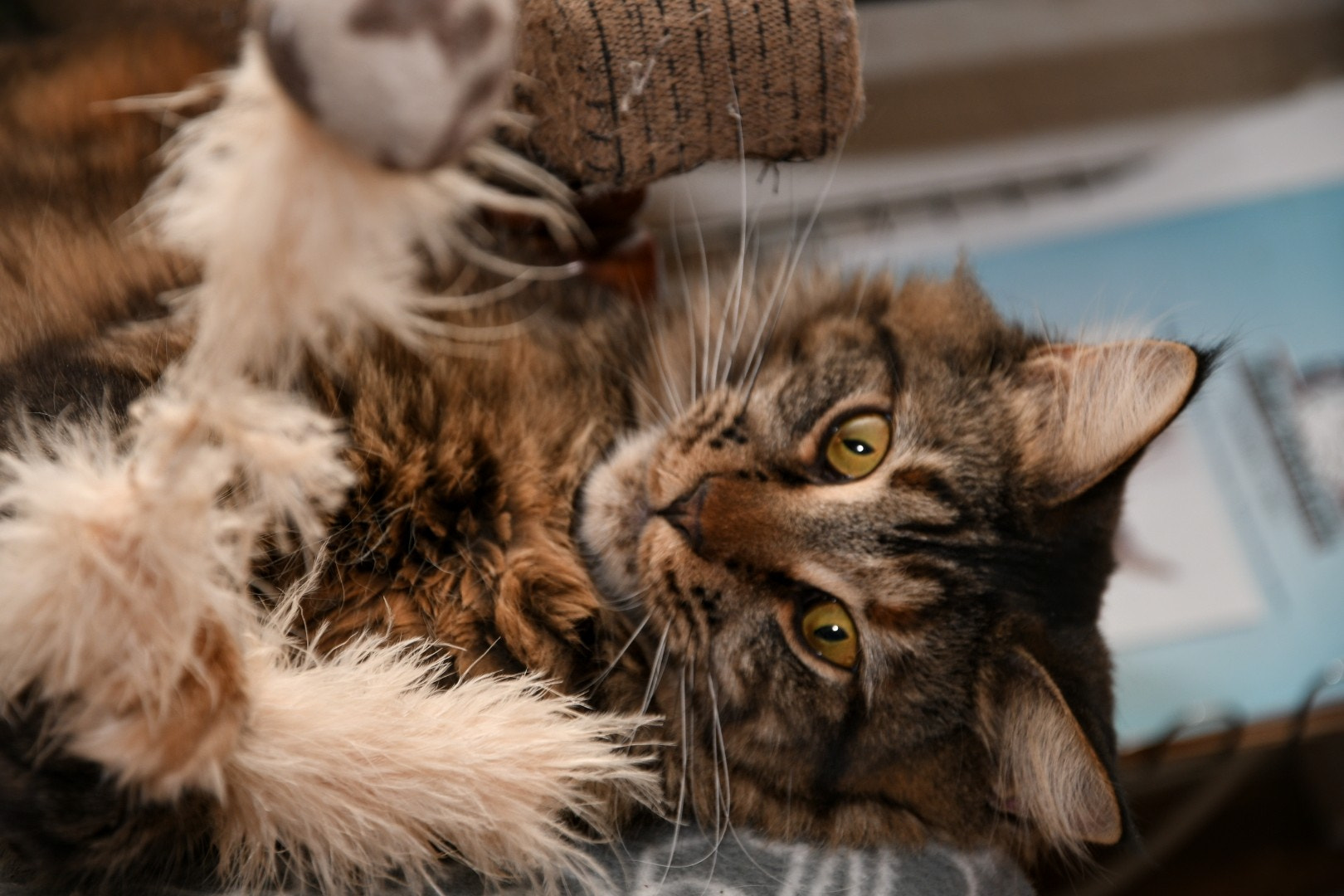 Nikon D7500 sample photo. Ronja playing photography