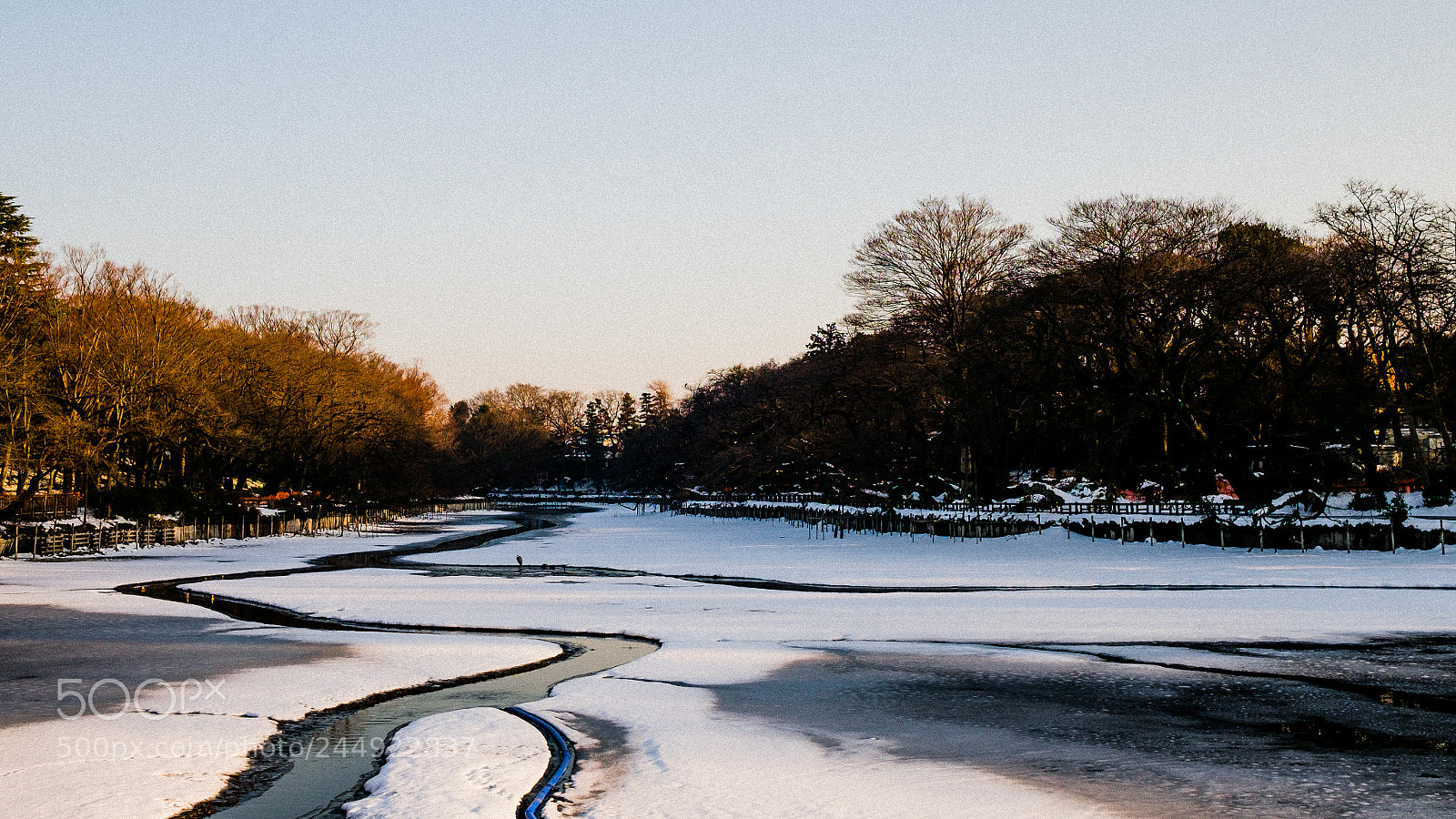 Fujifilm X-T10 sample photo. Untitled photography