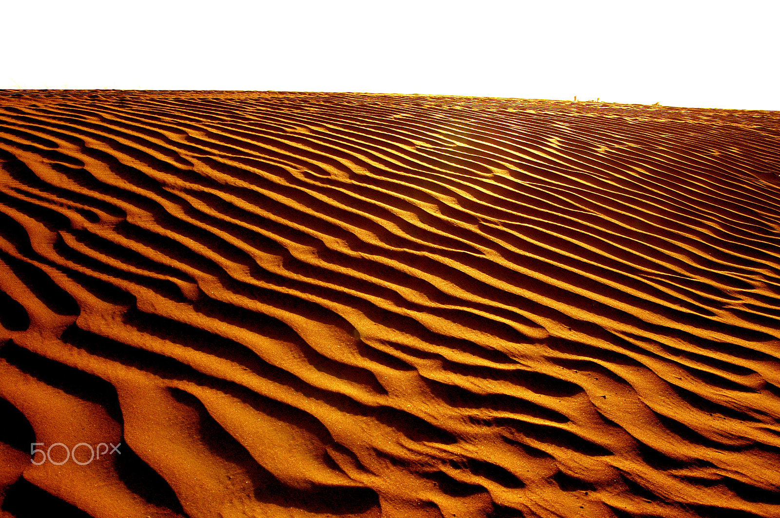 Samsung GX-1L sample photo. Desert near dubai, uae. photography