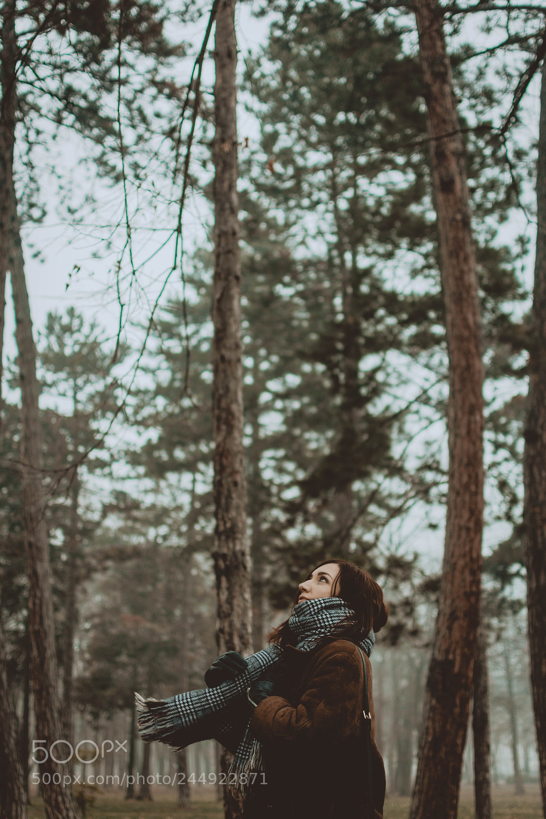 Nikon D7200 sample photo. Abs photography