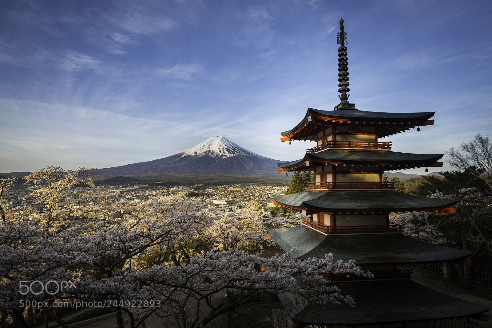 Nikon D800 sample photo. Japan in one picture photography