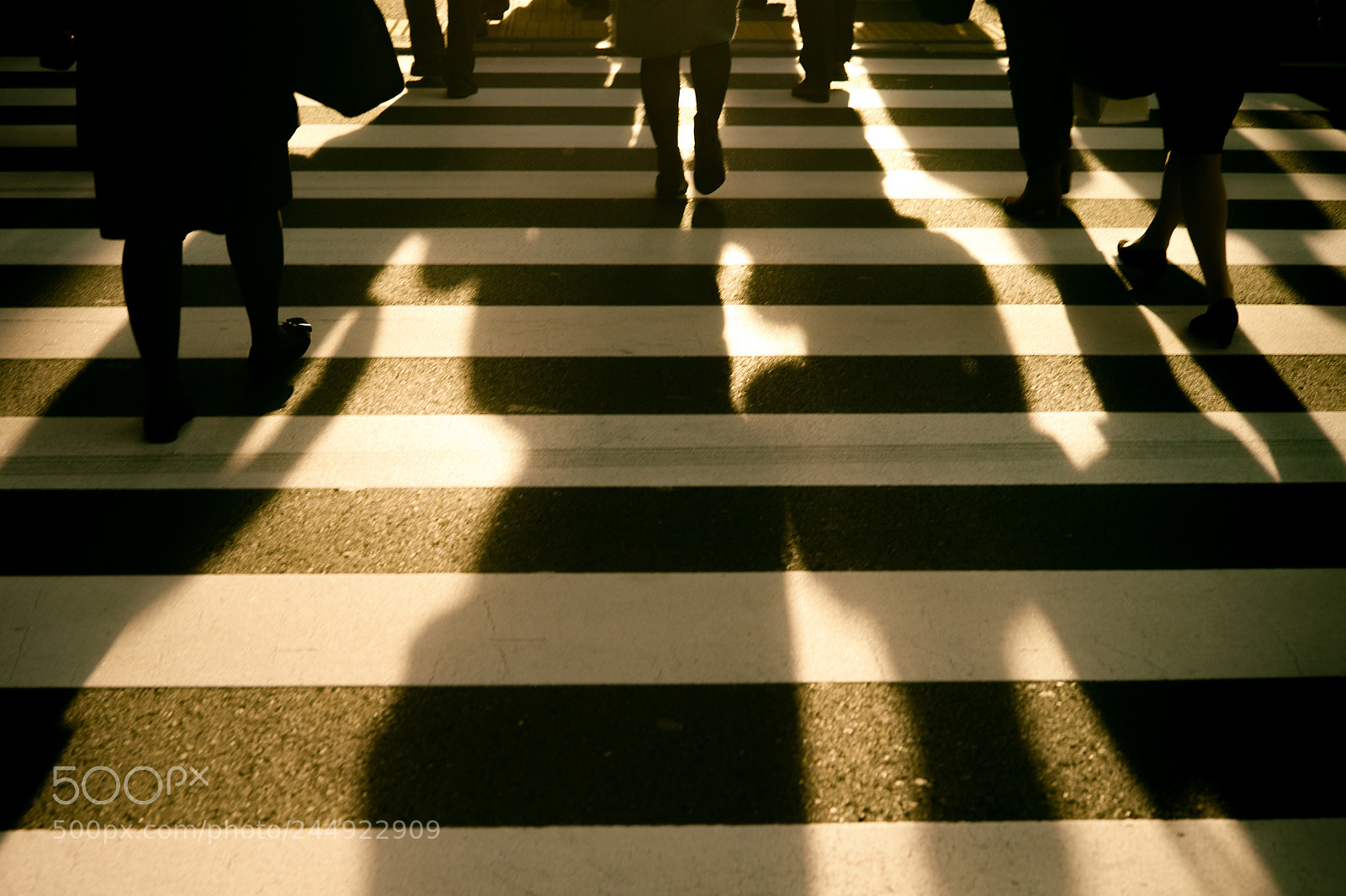 Leica M9 sample photo. Zebra crossing photography